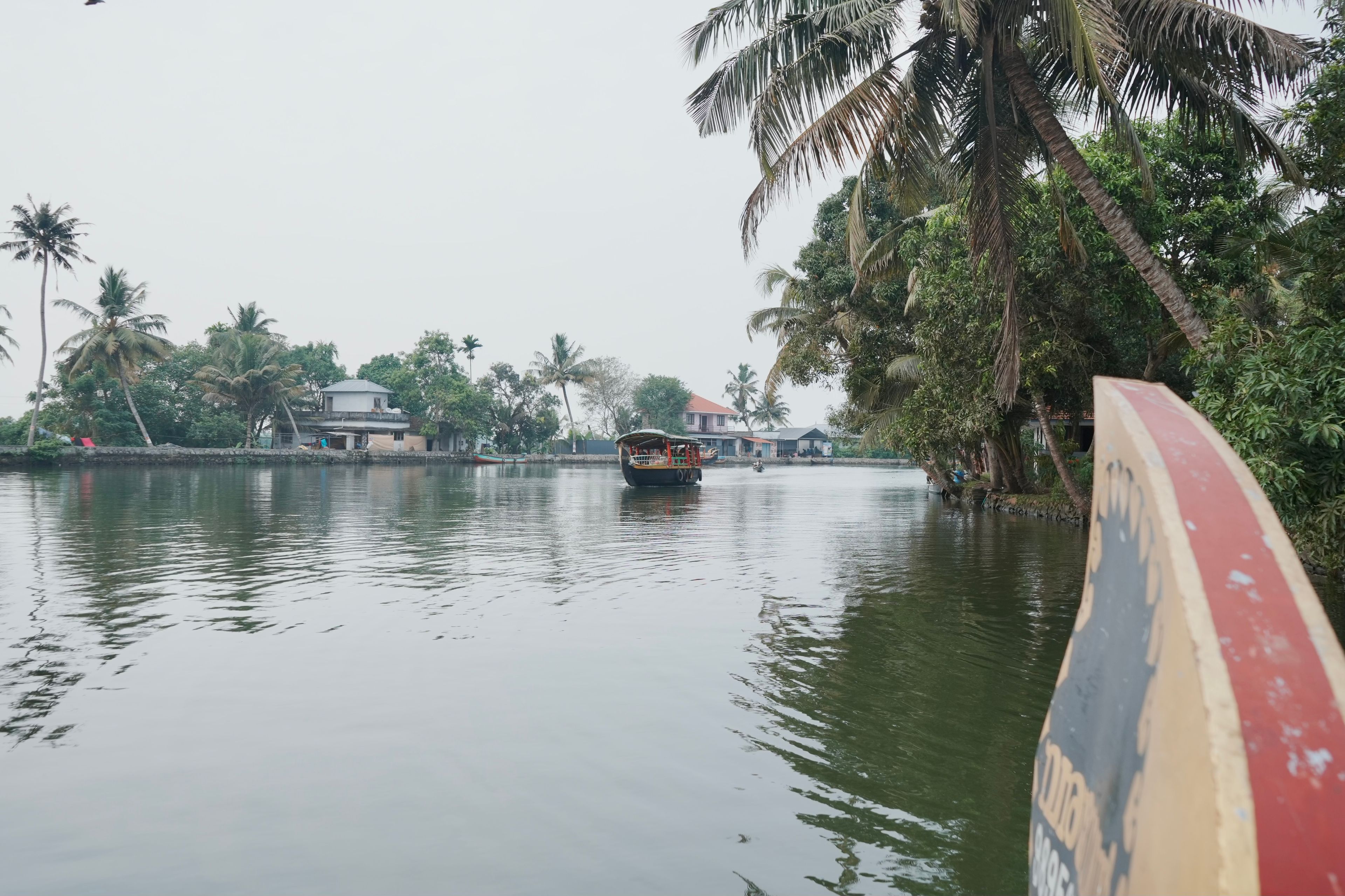 A quiet backwater channel with palms and small houses along the bank in Kerala