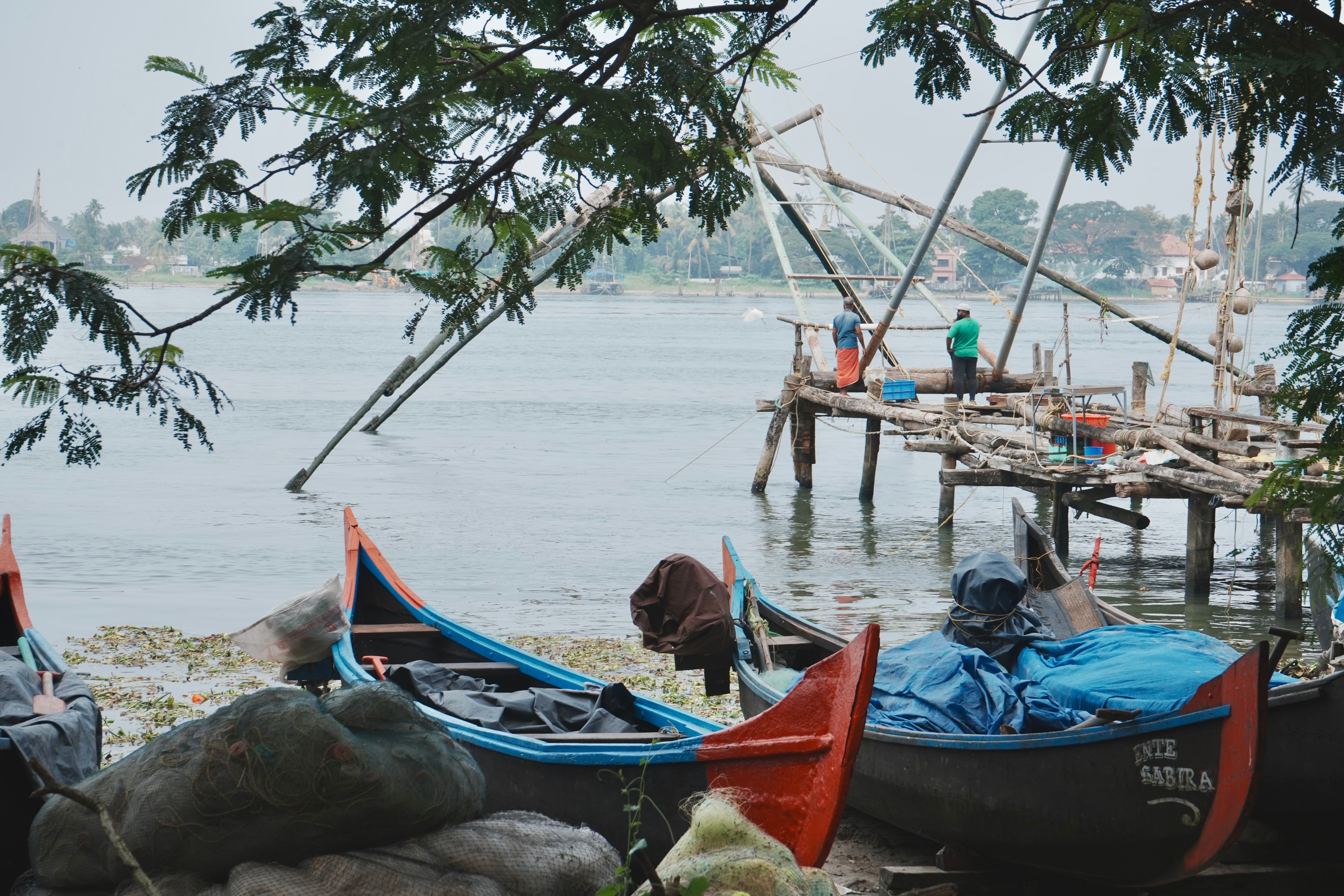 Watch the Chinese fishing nets at dusk