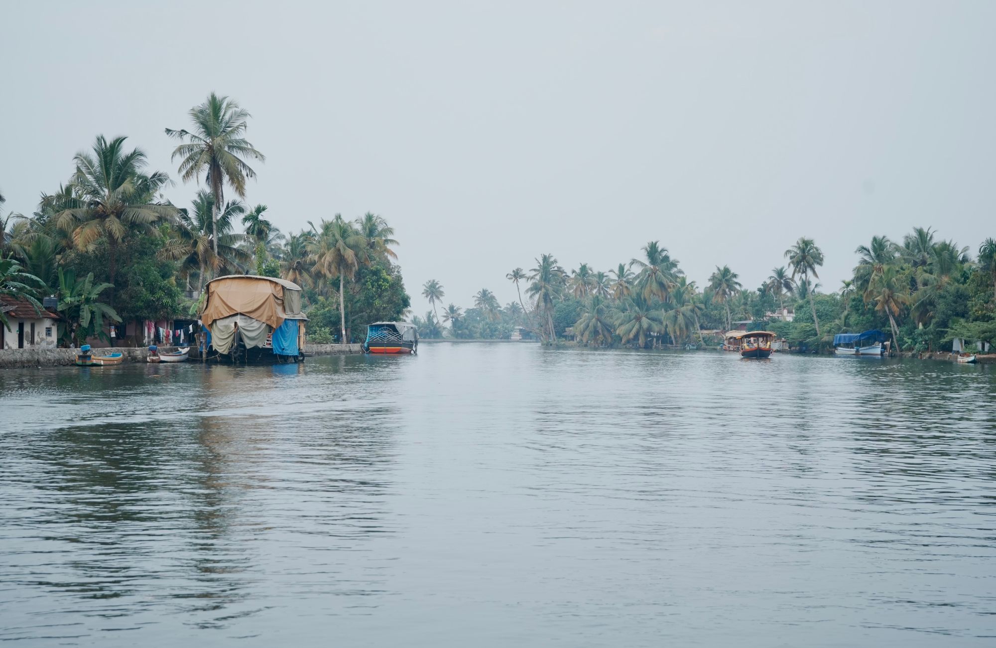 Kerala — Green stillness. Slow water. Long afternoons.