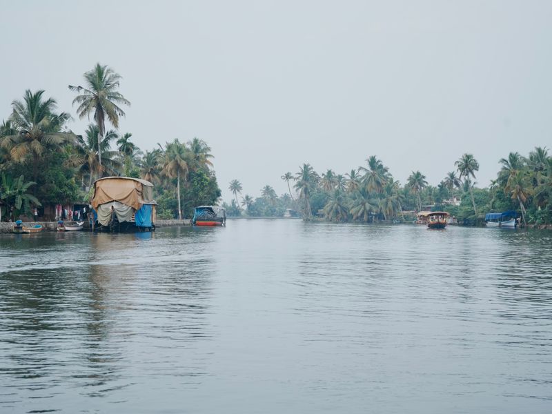 Kerala Backwater Serenity — photograph 1