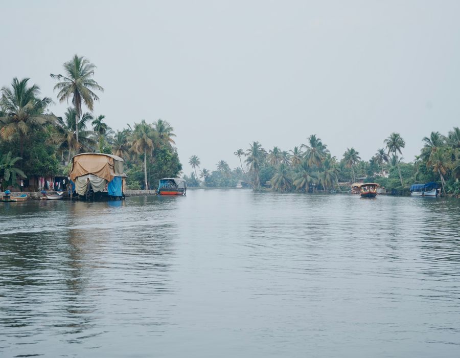 Kerala — travel photograph 1