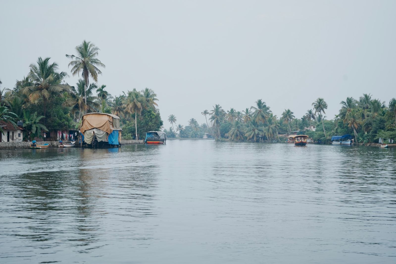 Scenic view of Kerala's tranquil backwaters with lush palm trees and traditional houseboats.
