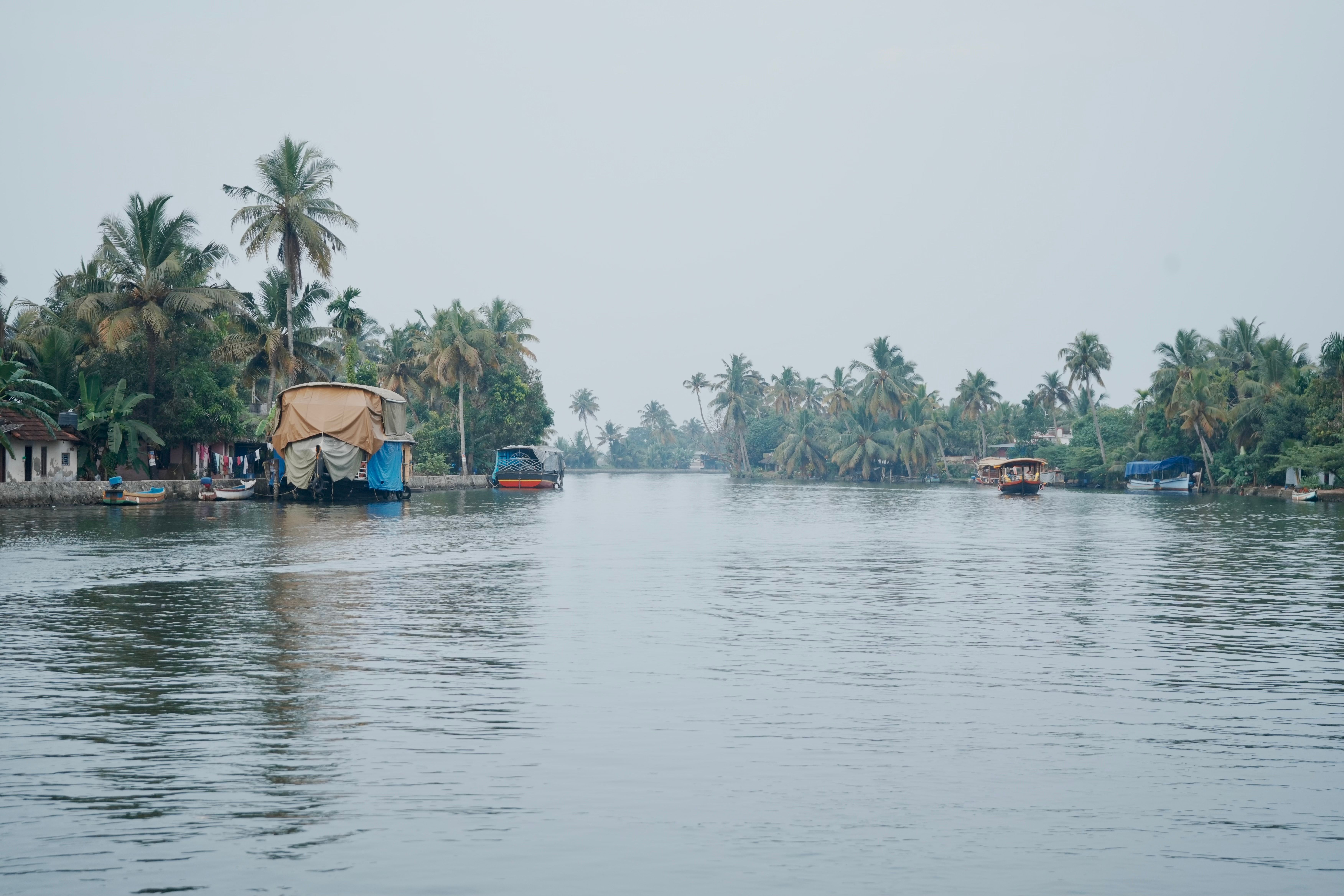Serene Kerala Backwaters with Traditional Houseboat · Free Stock Photo