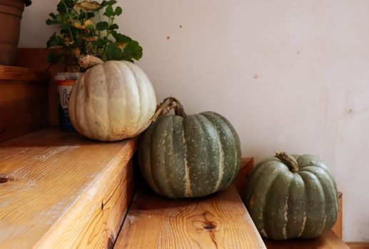 Three autumn pumpkins on rustic wooden stairs, creating a cozy, fall atmosphere indoors.