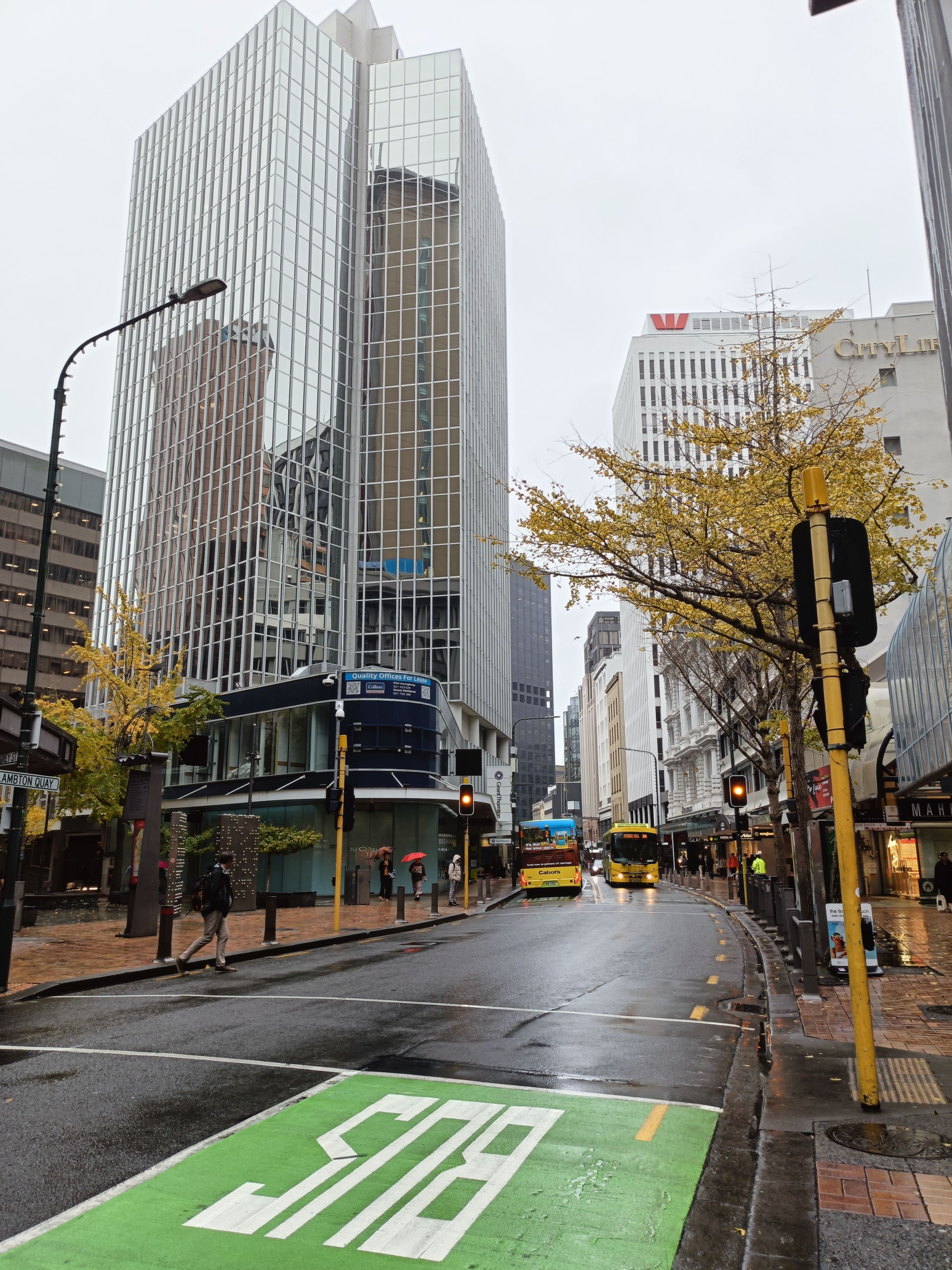 Street view of a rainy day in downtown Wellington, showcasing modern architecture and urban transportation.
