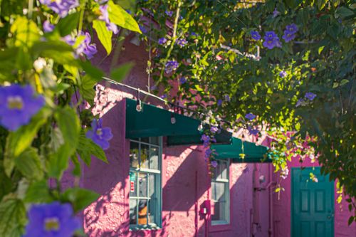 Free stock photo of key west, morning glory, pink house Stock Photo