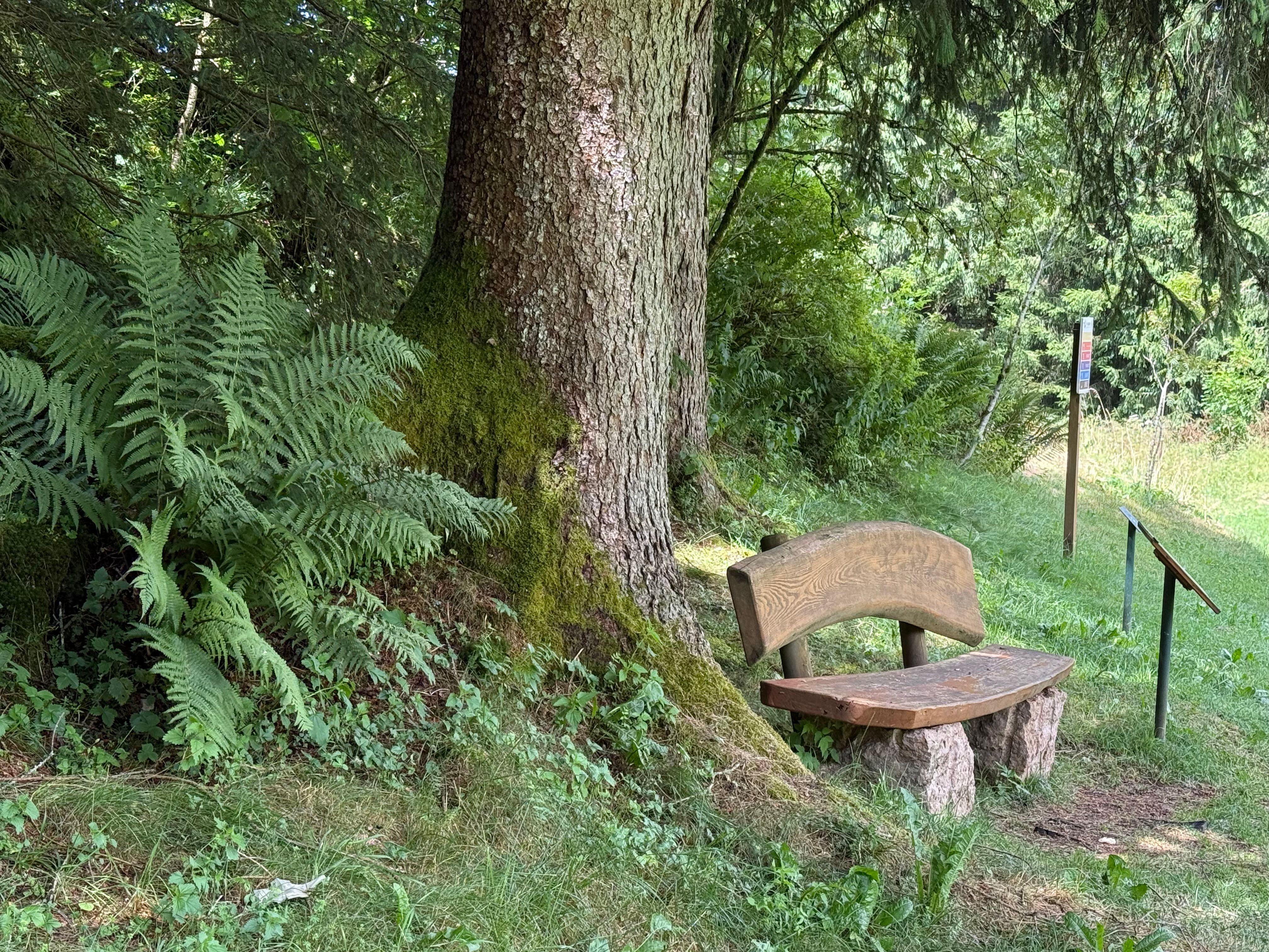 Ruhige Meditation in der Natur