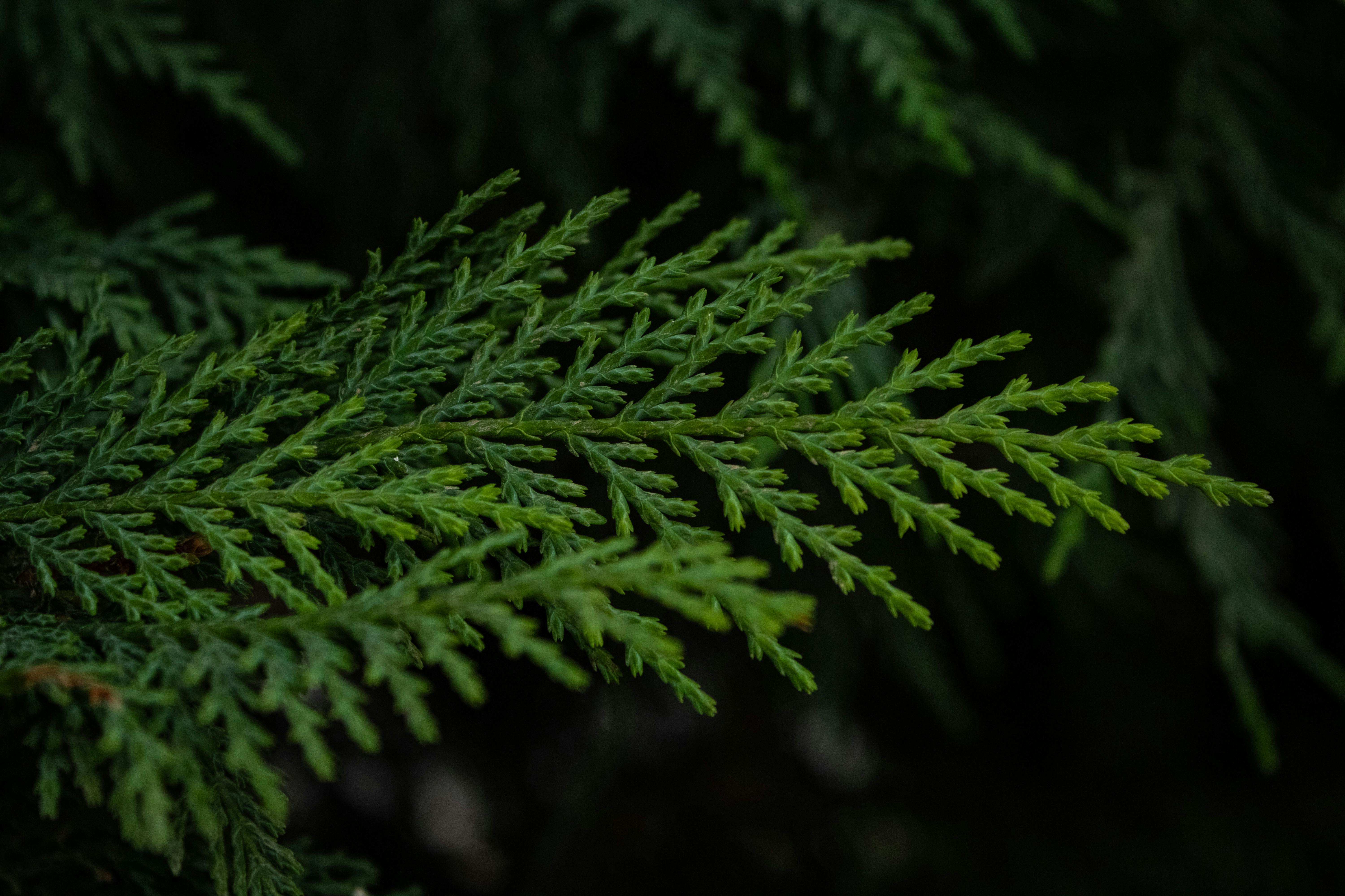 Breakthrough Technologies Boosting Green Investments