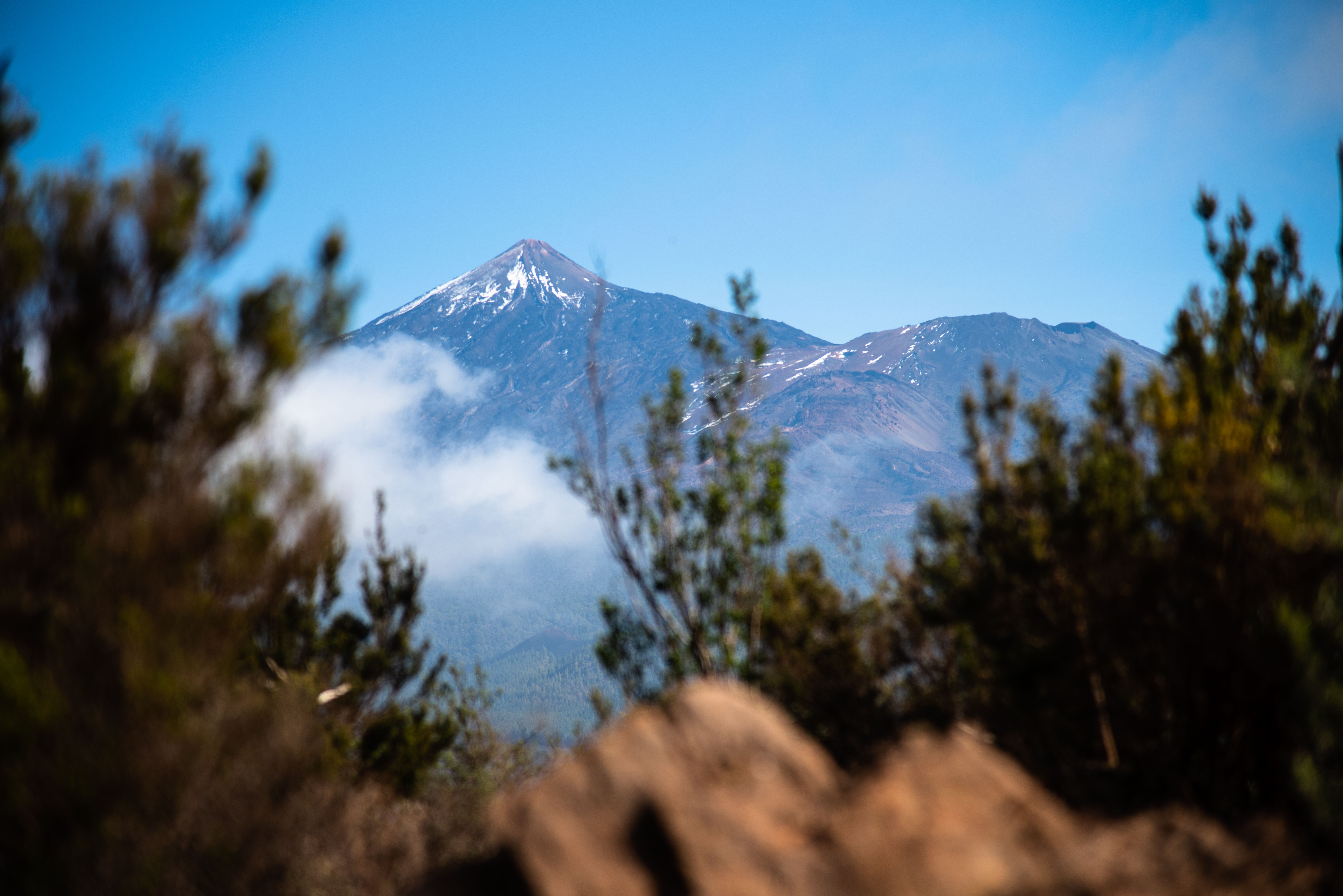 7 Day Private Ocean View Yoga Retreat in Tenerife 3