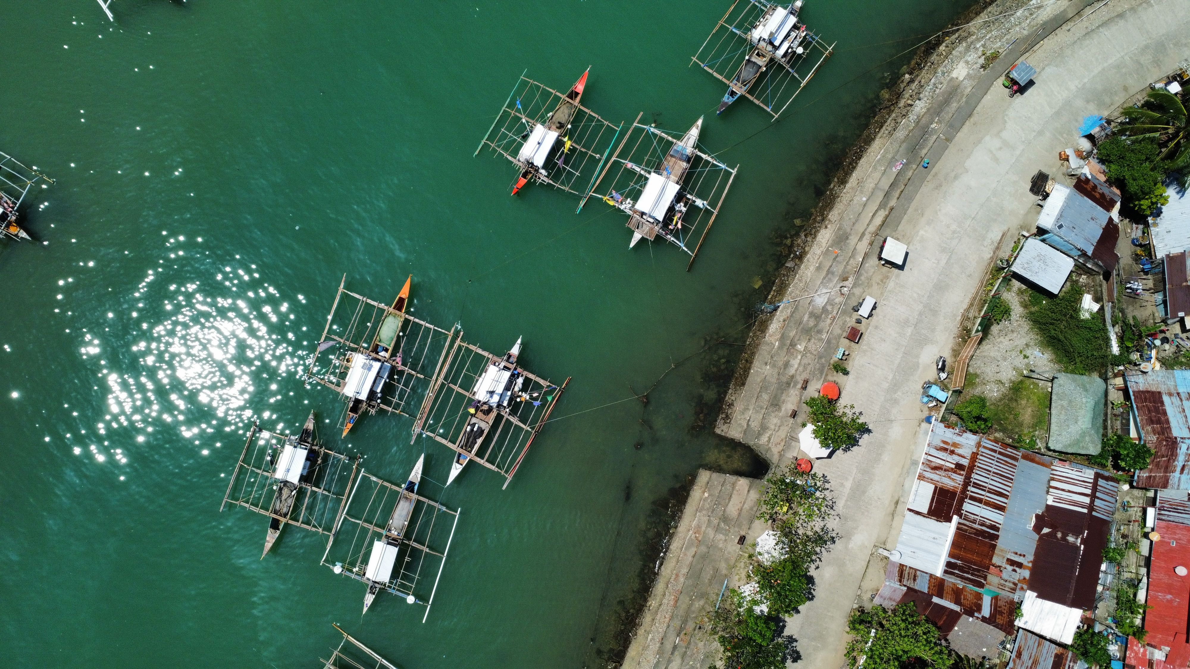 The Squid Sails to Zhoushan Whole. The Boat That Caught It Was Never on Anyone's Screen. post image