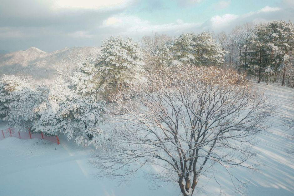 Surviving Pyeongtaek’s Extreme Seasons: The Expat’s Guide to Korean Summers and Winters