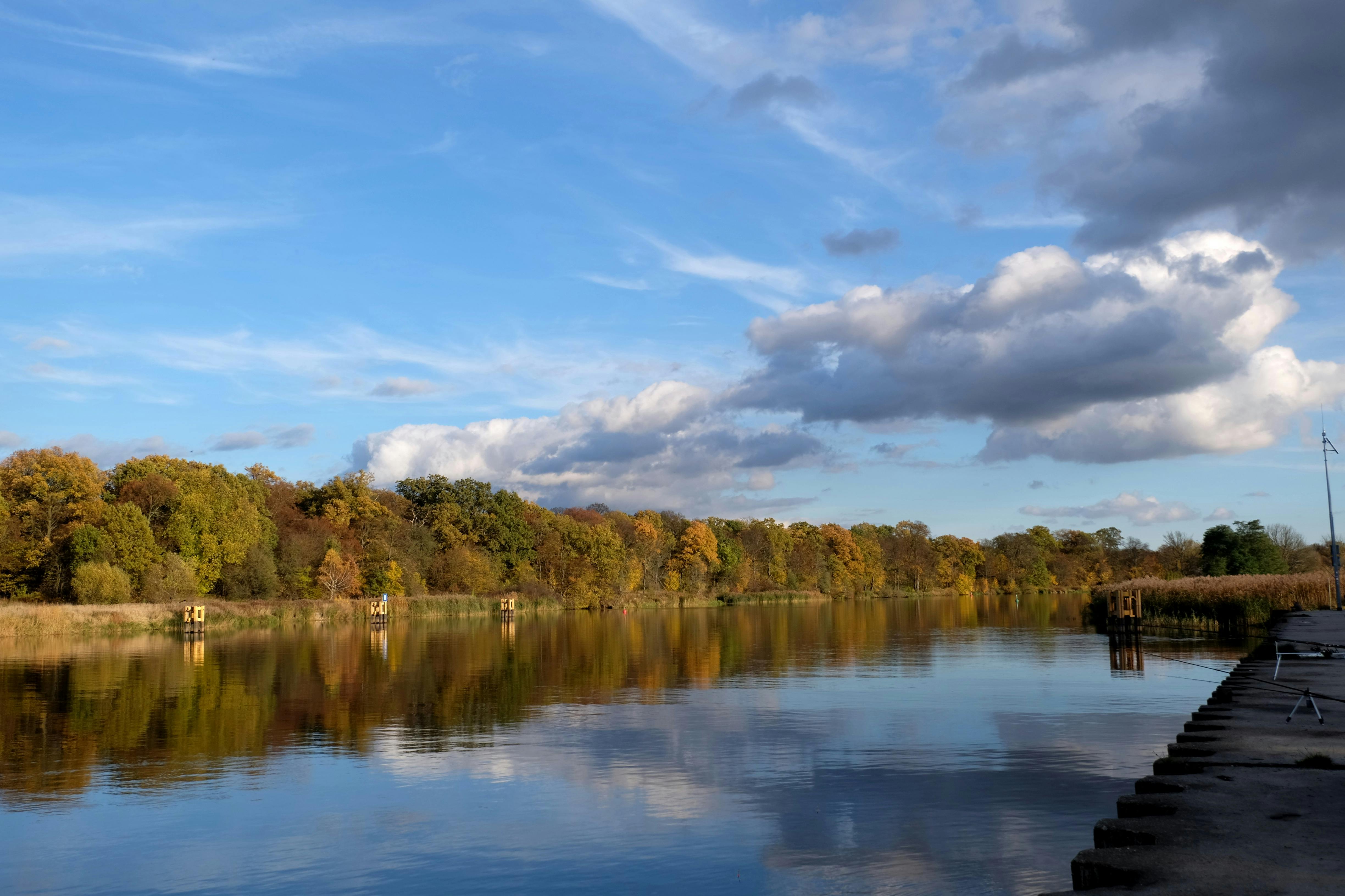 Featured image for: 5 Eye-Opening Documentaries That Changed How I See the World and Inspire Growth