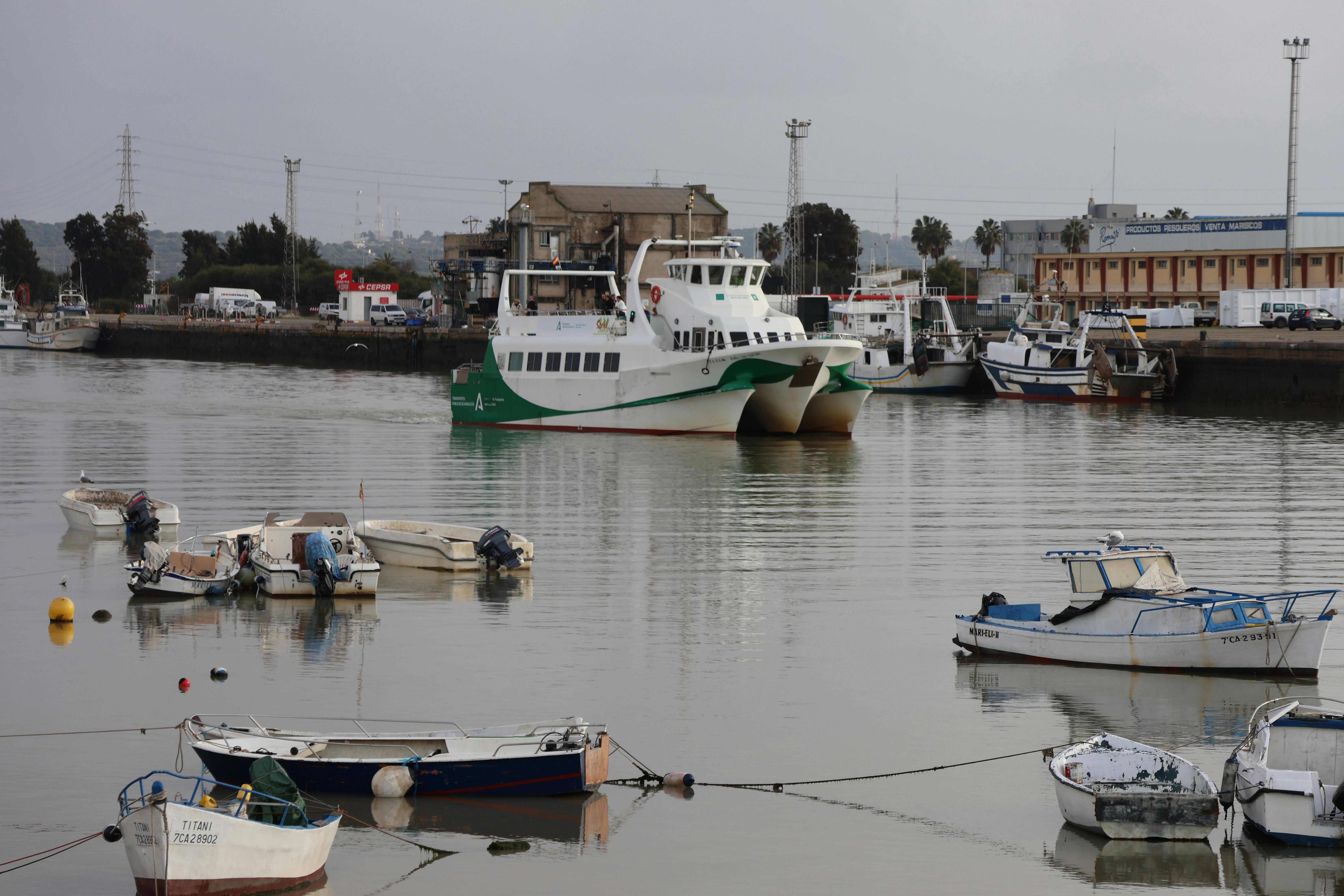 Coca (Puerto Francisco de Orellana)
