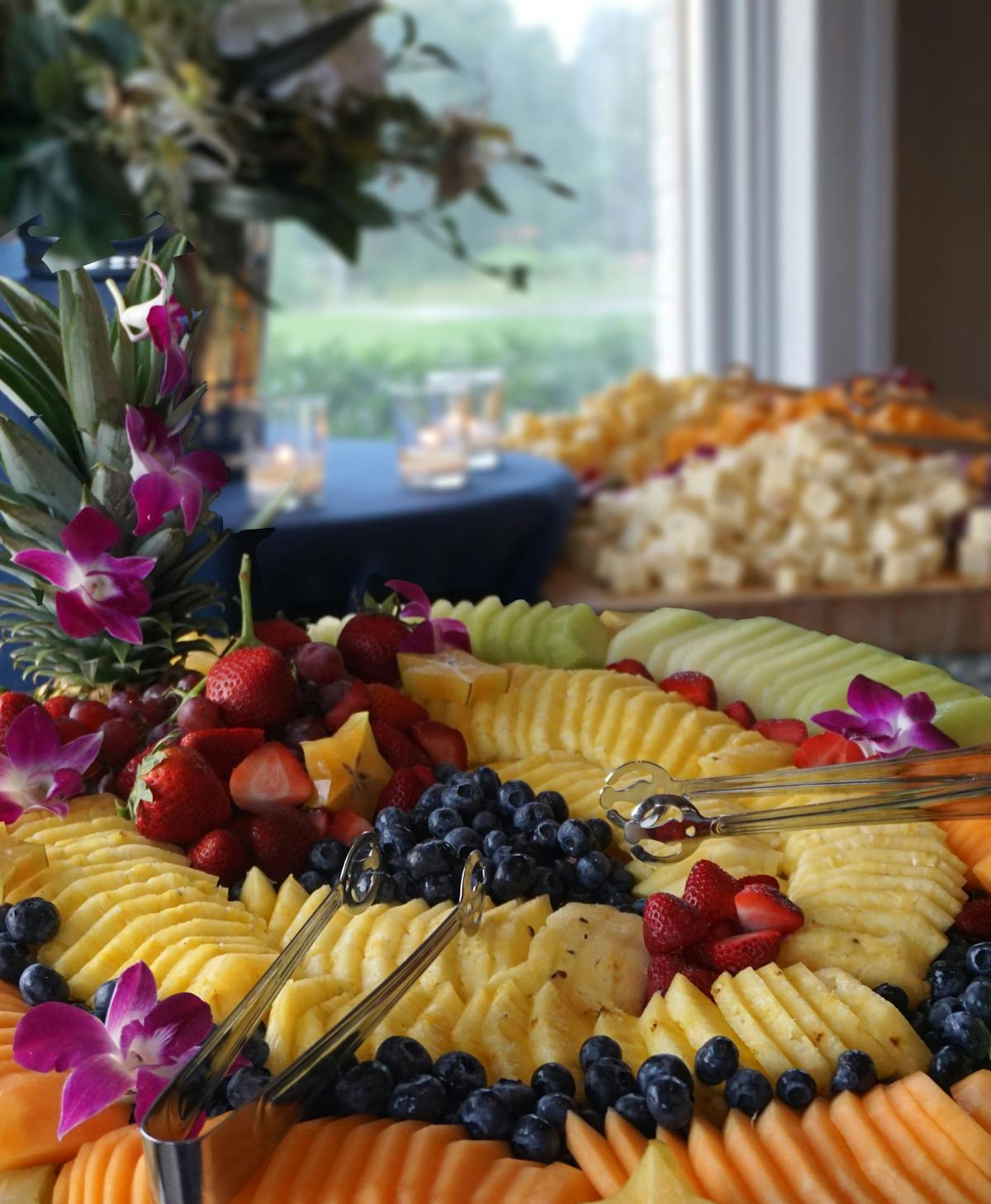 Acuario de Agua Dulce para Principiantes: Guía Completa