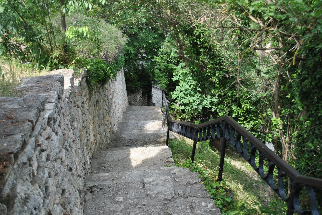 Free A rustic stone staircase descends through vibrant green trees in a serene outdoor setting. Stock Photo