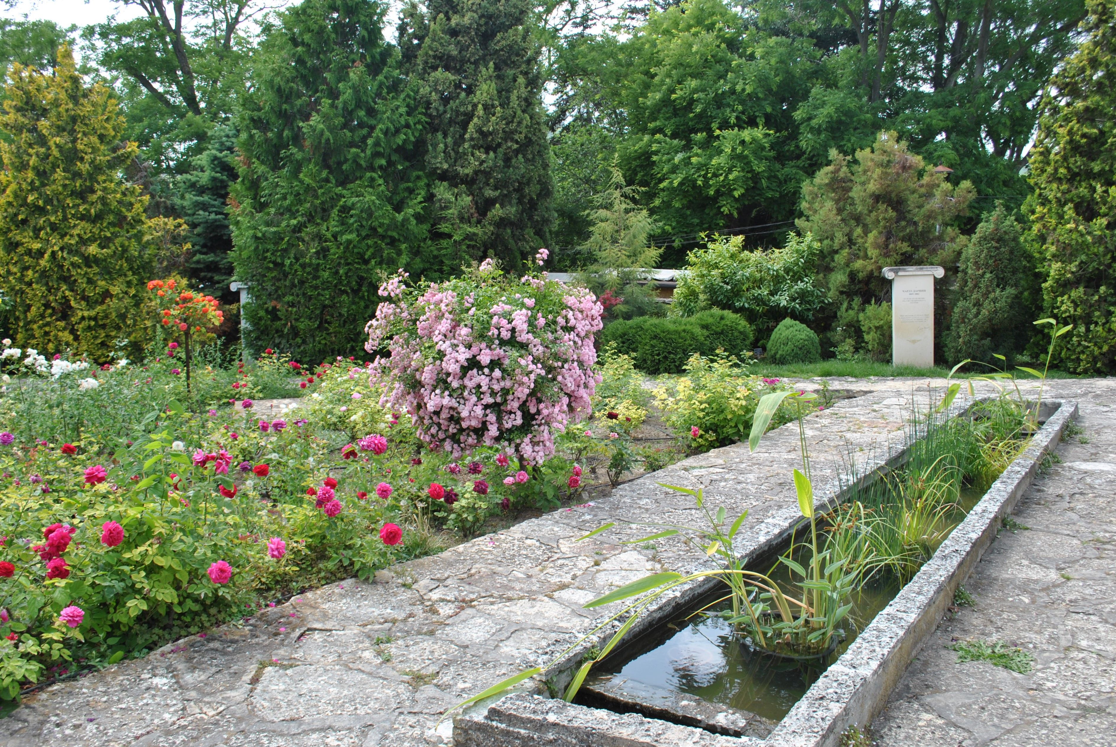 Summer garden in bloom