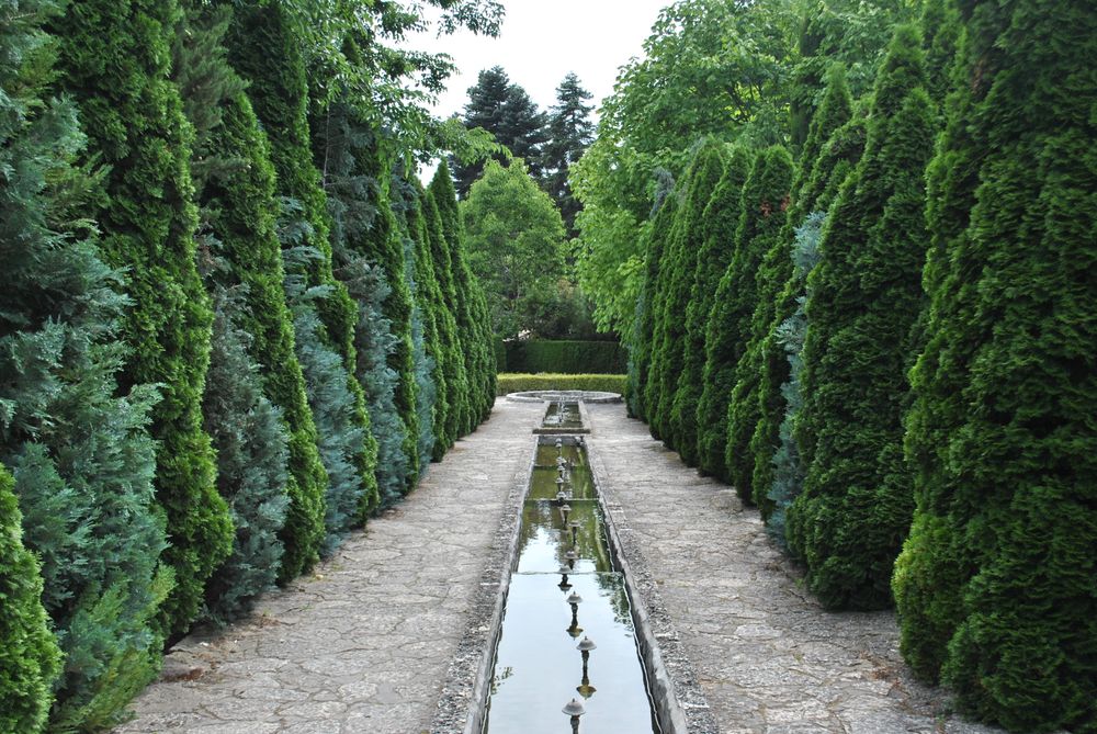 The Rill