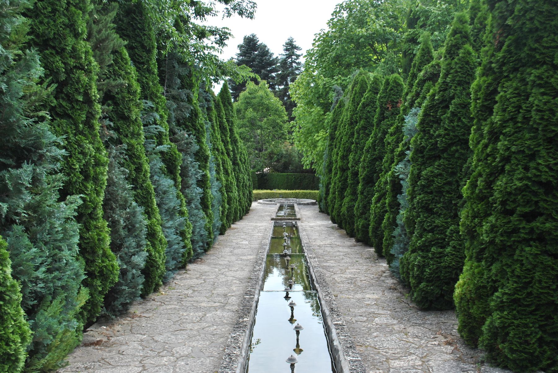 A long rill of water between clipped cypress hedges