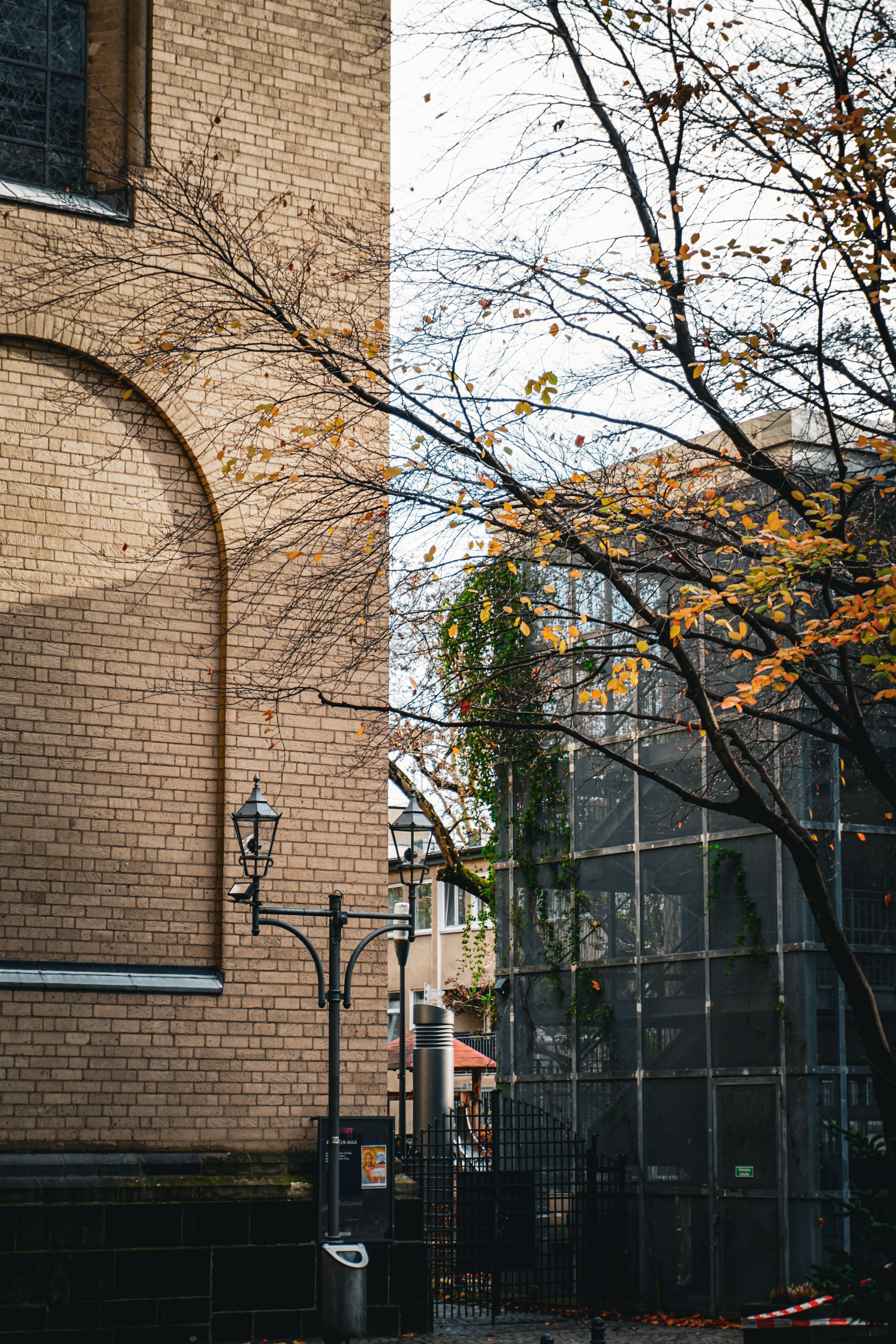 Autumn Urban Scene with Brick Building and Trees · Free Stock Photo