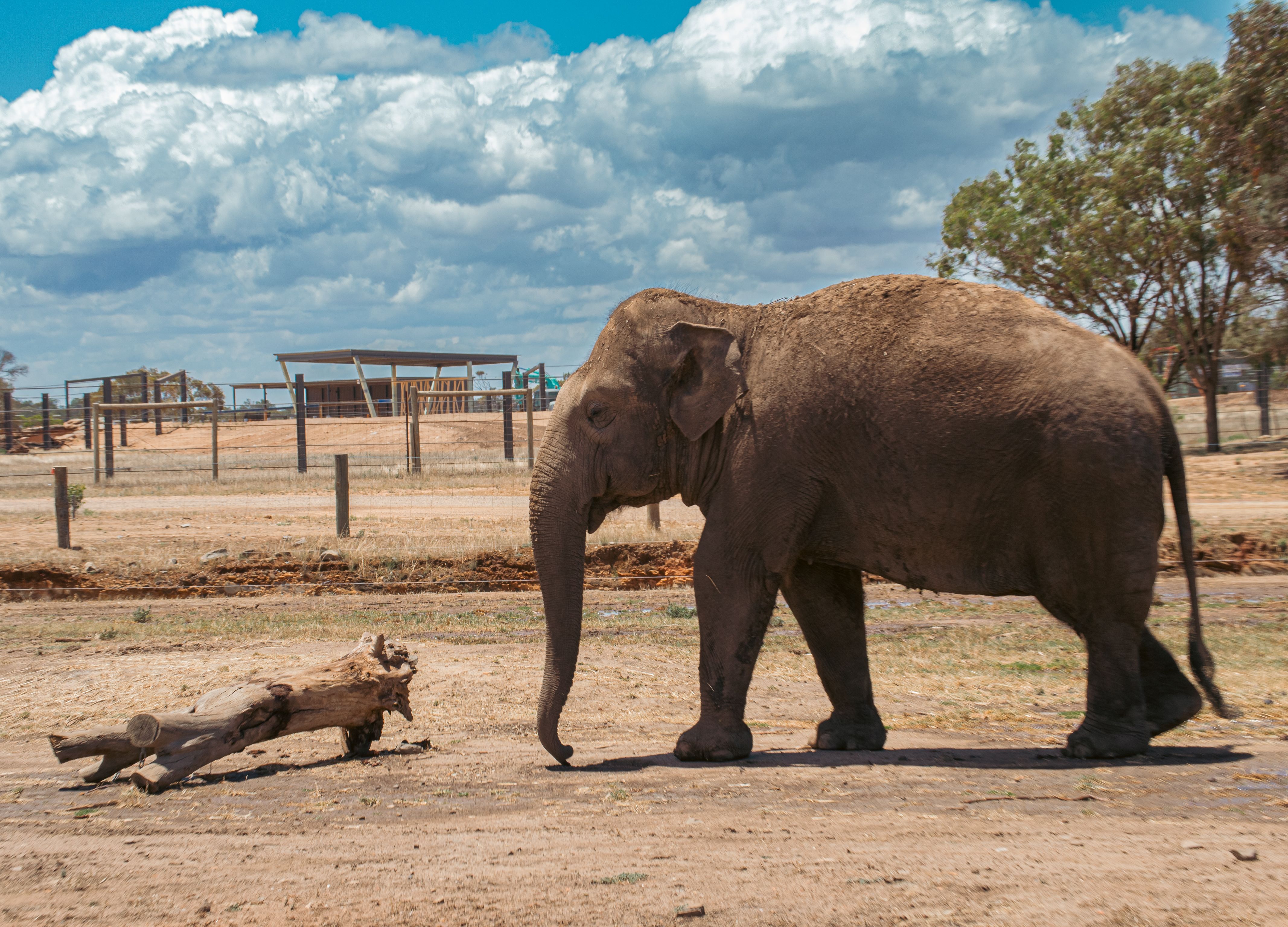Travel inspiration for A Luxury Wildlife Immersion at Monarto Safari Lodge