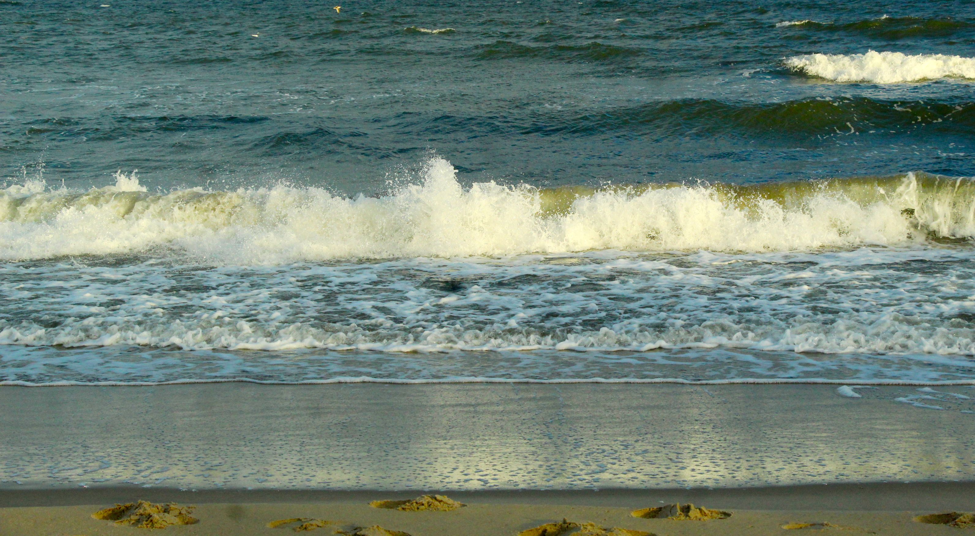 Serene Ocean Waves Crashing on Sandy Beach · Free Stock Photo