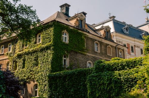 Free A charming historic building in Poland with ivy-covered walls in a lush green setting. Stock Photo