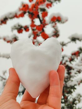 Close-up of hand holding snow shaped like a heart with snow-covered red berries in the background.