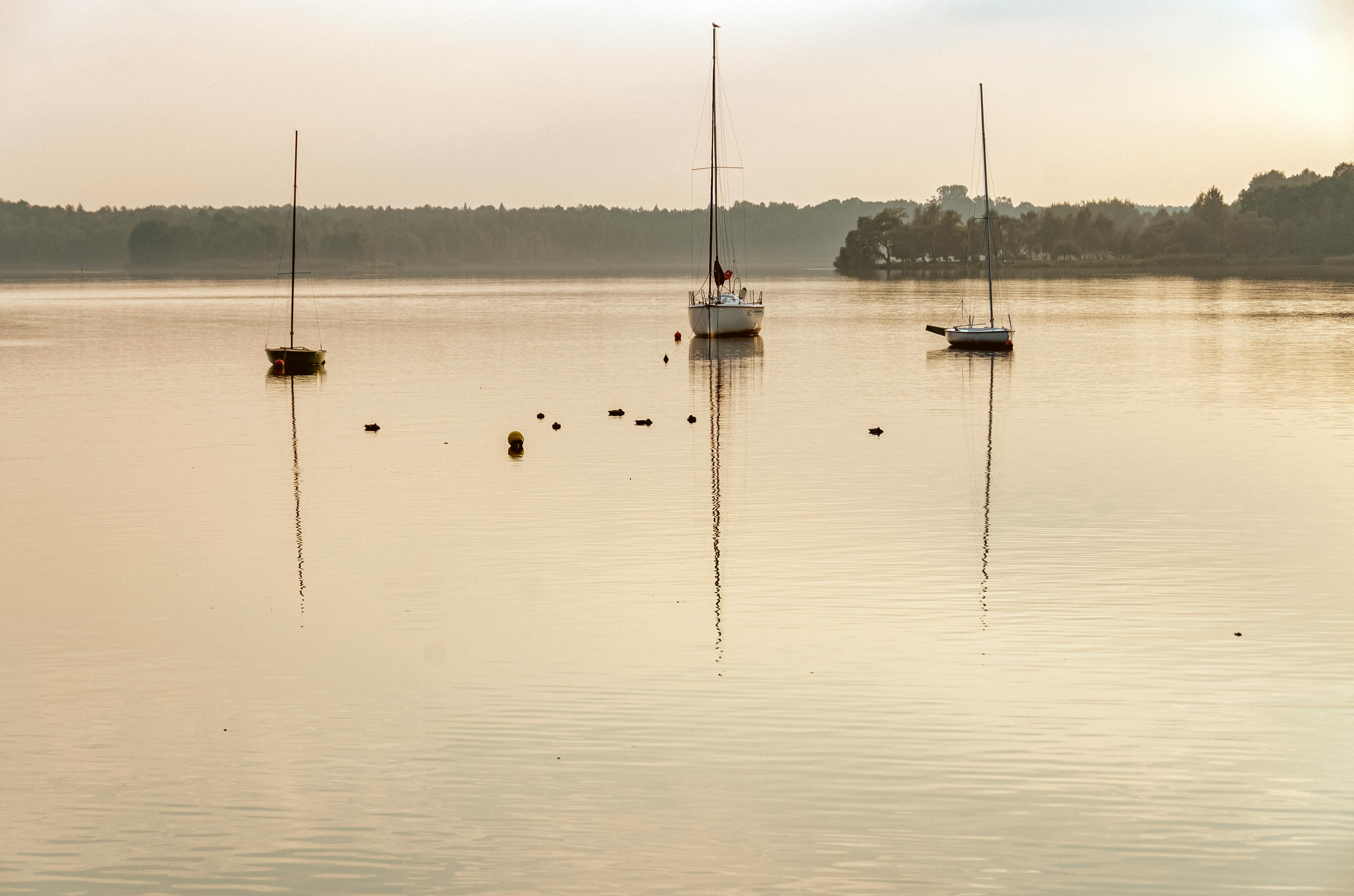 Tychy — informacje lokalne