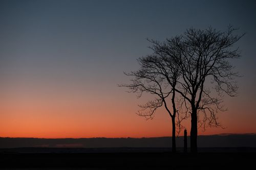 Free Silhouette of bare trees against a vibrant winter sunrise in Stamford, Connecticut. Stock Photo