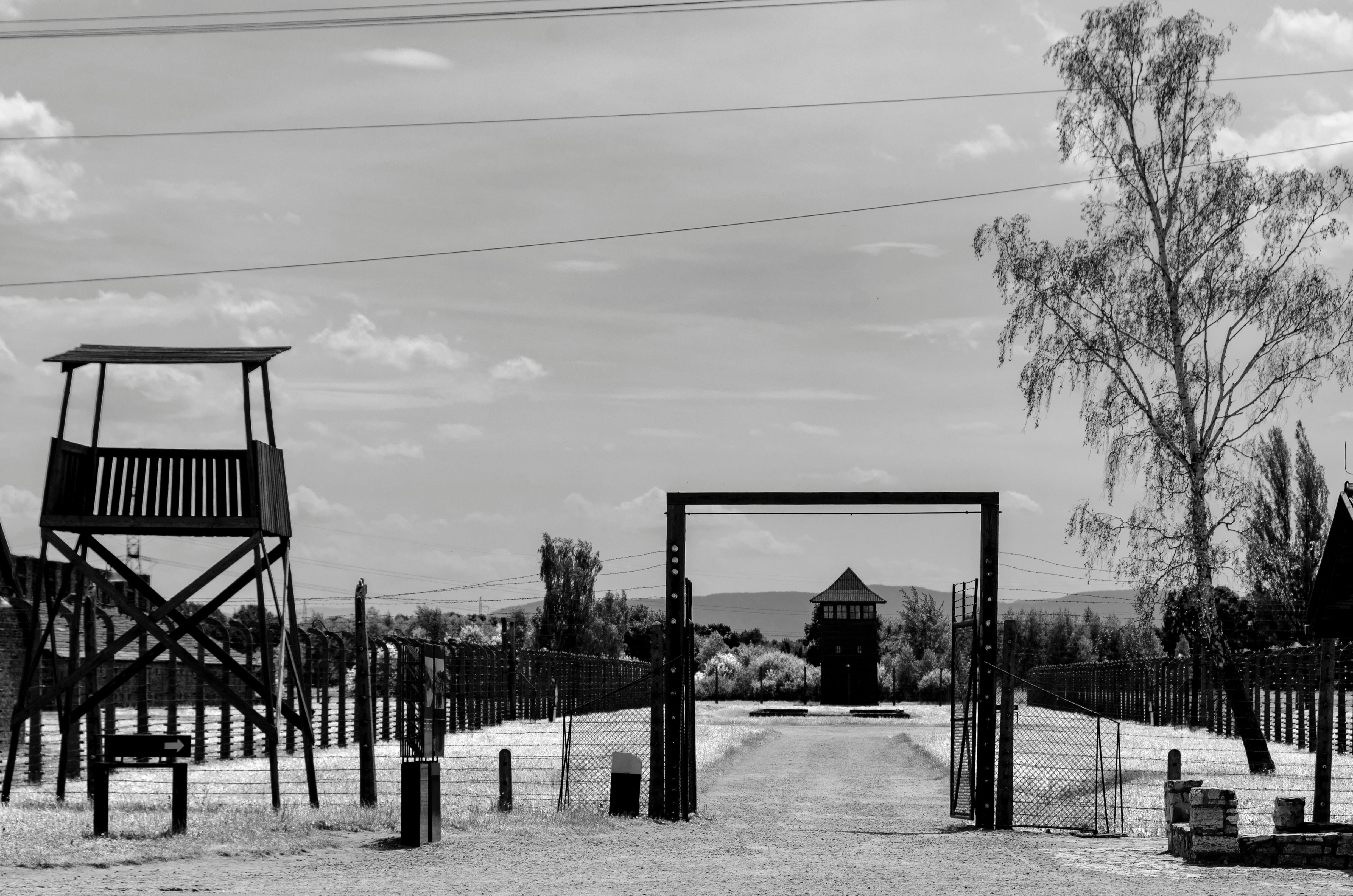 earthquake memorial tragedy