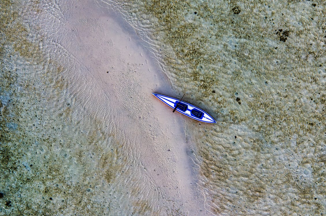 Blue Paddle Board In Riva Al Mare