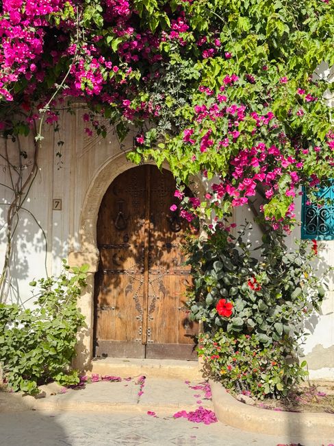 Rustic wooden door surrounded by pink bougainvillea in a sunny Mediterranean setting.