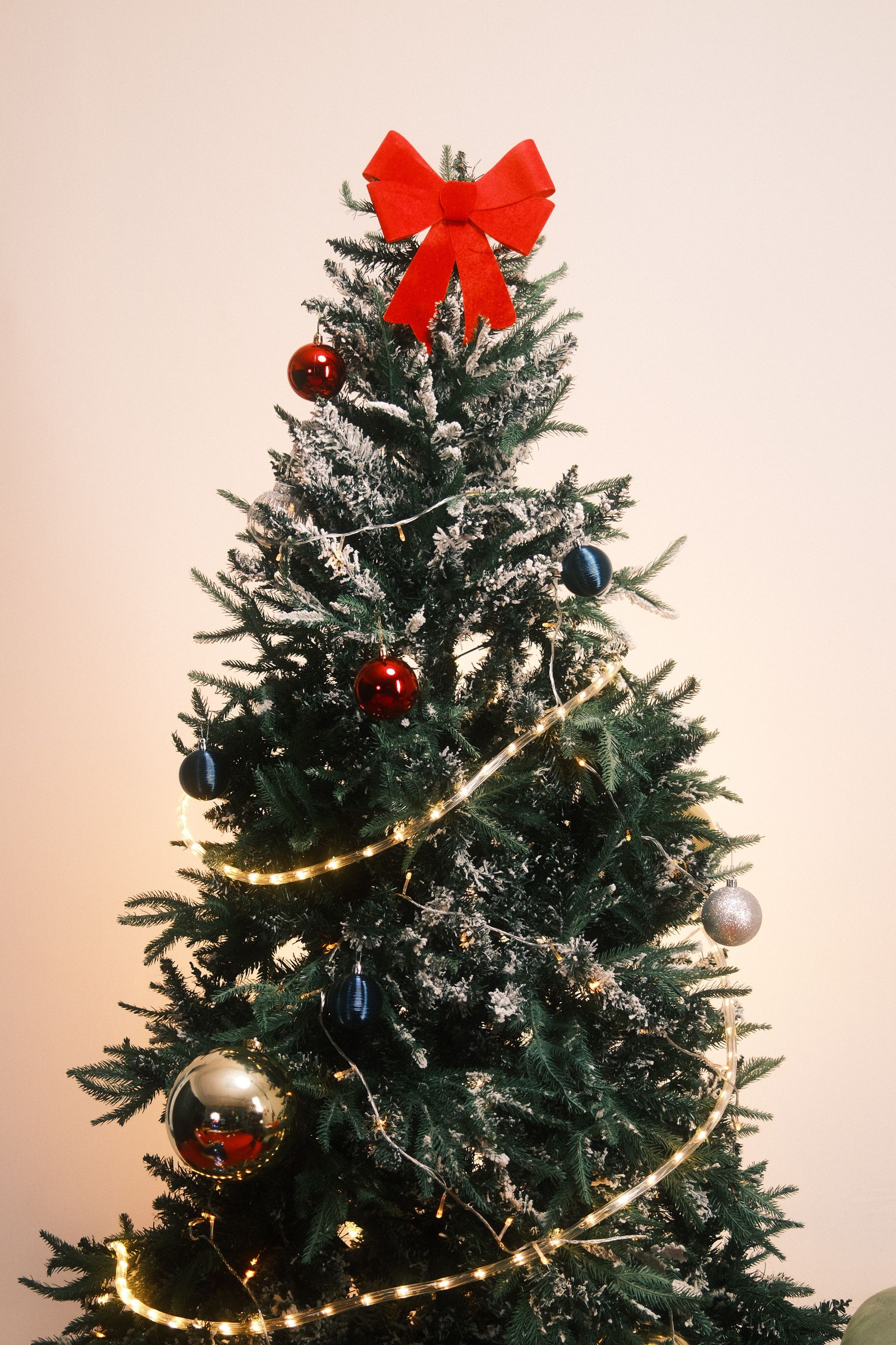 Decorated Christmas Tree with Red Bow Topper · Free Stock Photo