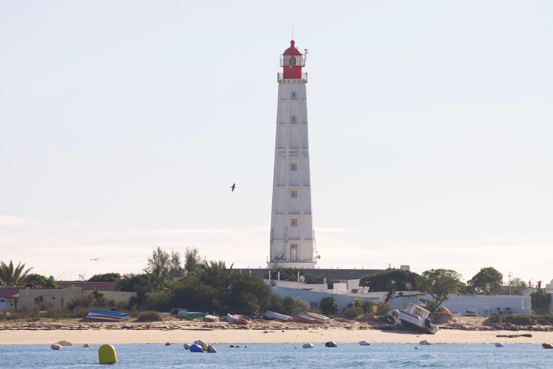 Faro photo 4