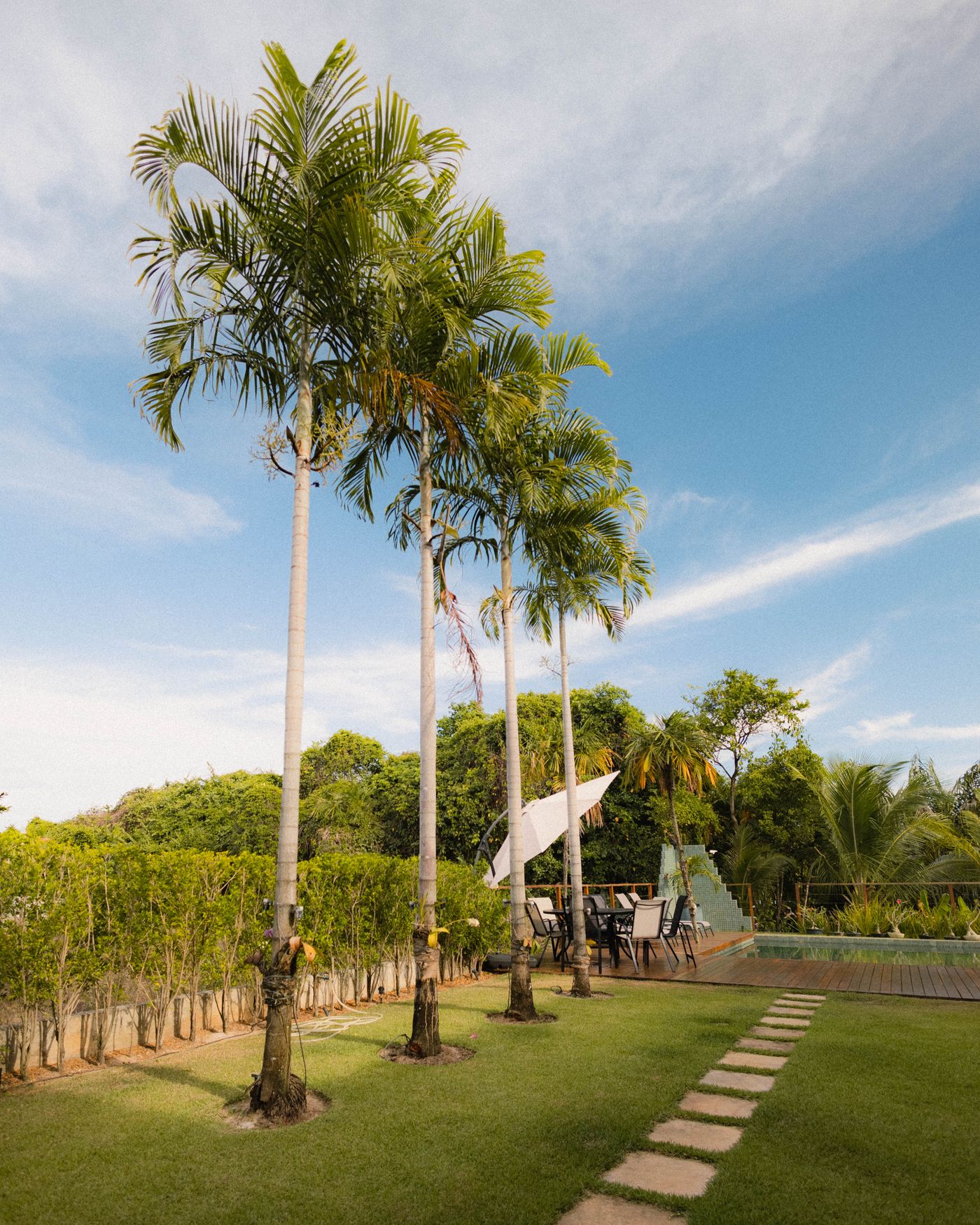 Pool Area Styling Ideas That Make a Miami Home Feel Like a Resort This Summer