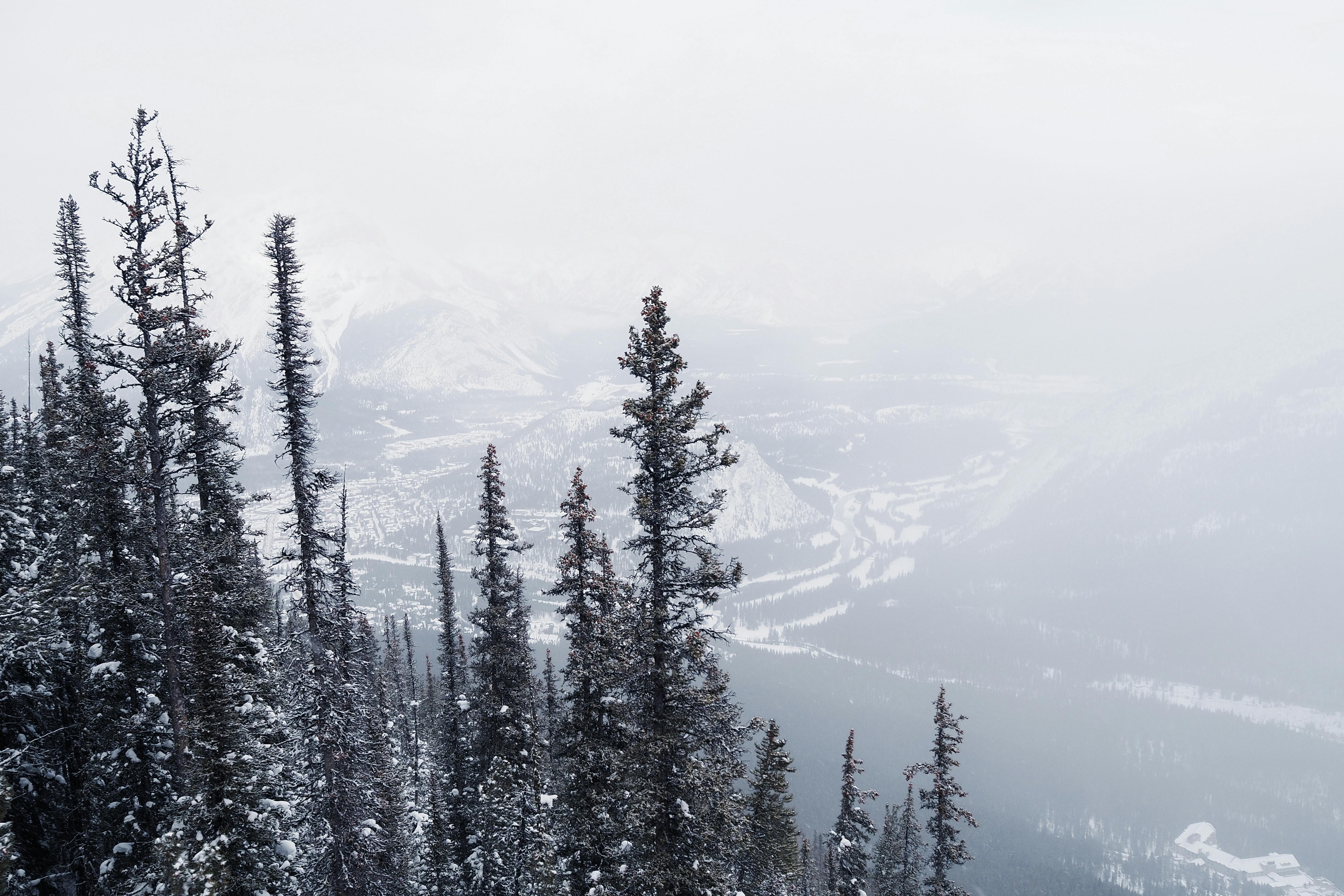 Randonneuse dans les cirques de la Réunion