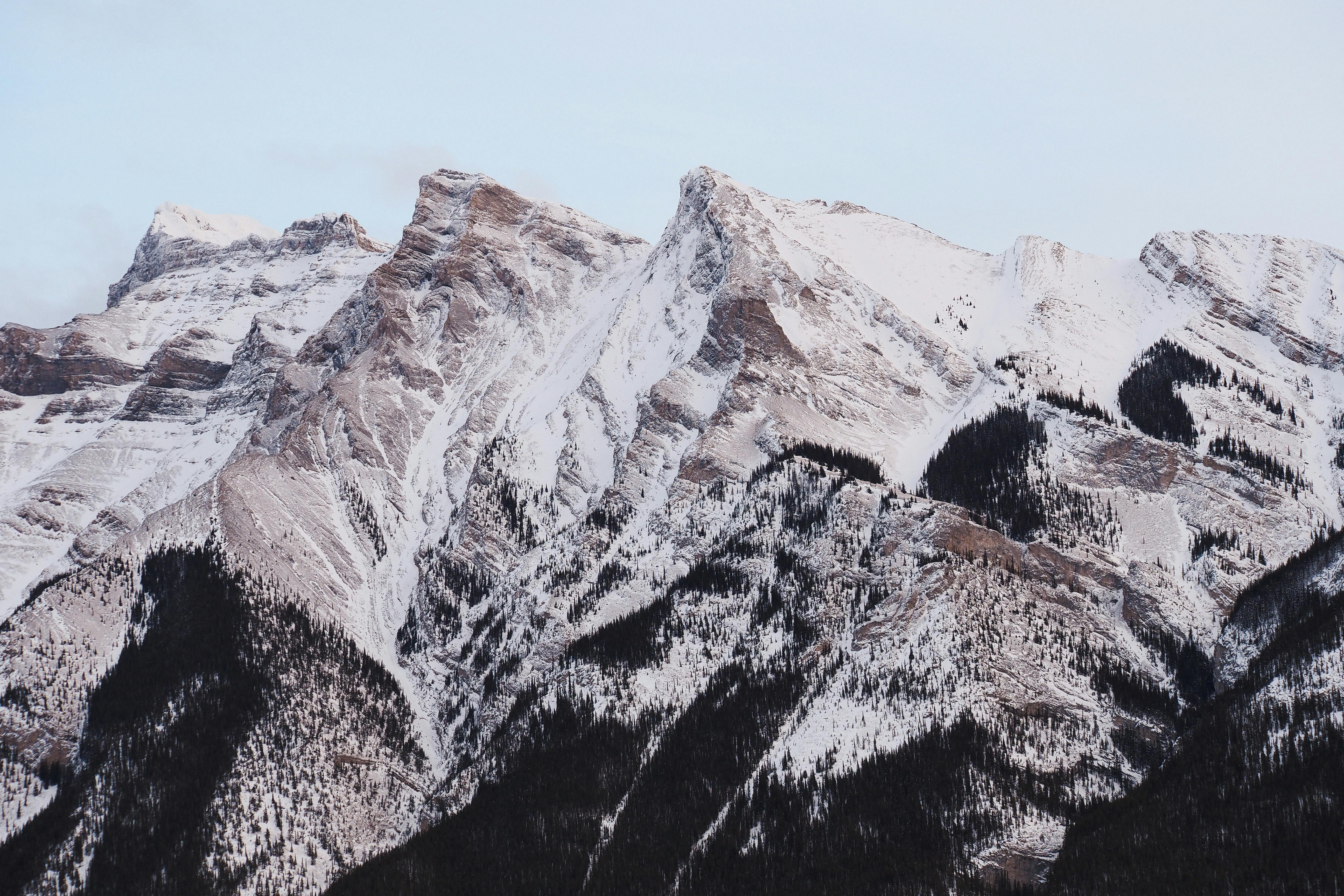 엔터티와 속성의 관계를 도식화한 이미지. 데이터베이스 설계의 기본 요소를 나타냅니다.