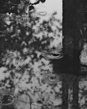 Black and white capture of raindrop ripples in a puddle reflecting nearby trees.