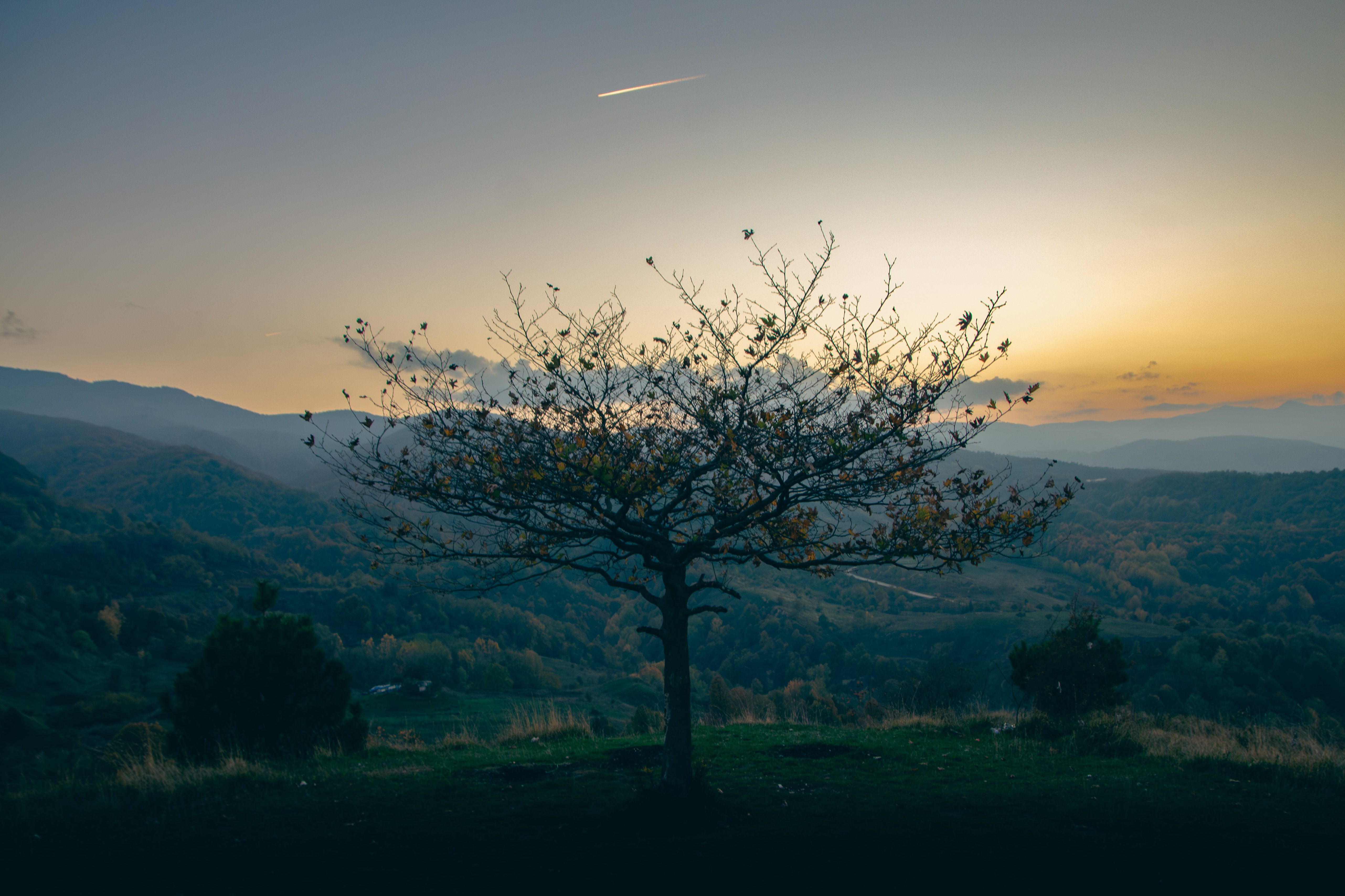Scenic Sunset Over Tree in Mountain Landscape · Free Stock Photo