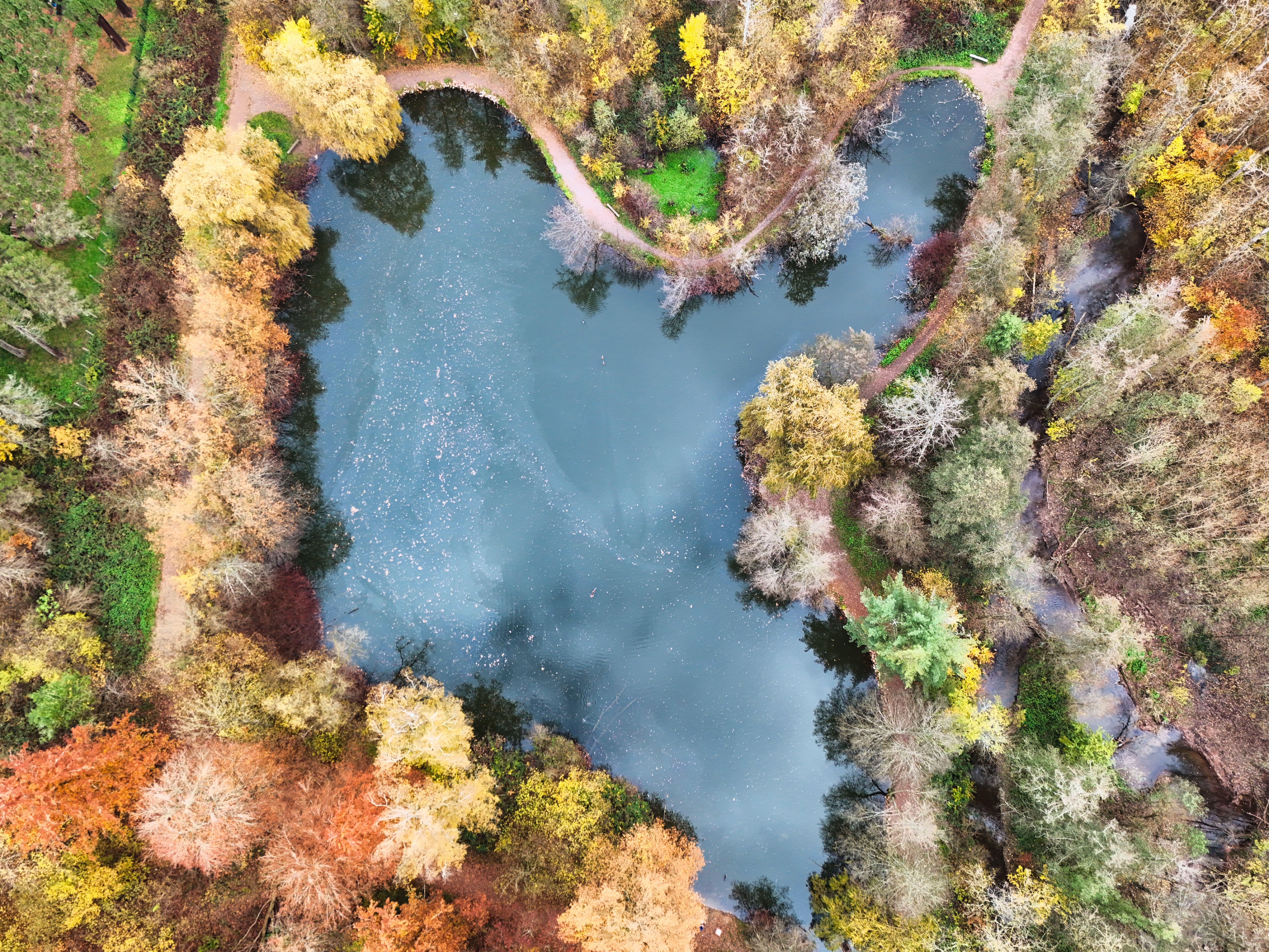 50.000+ melhores imagens de Drone Inspection · Download 100% grátis ...