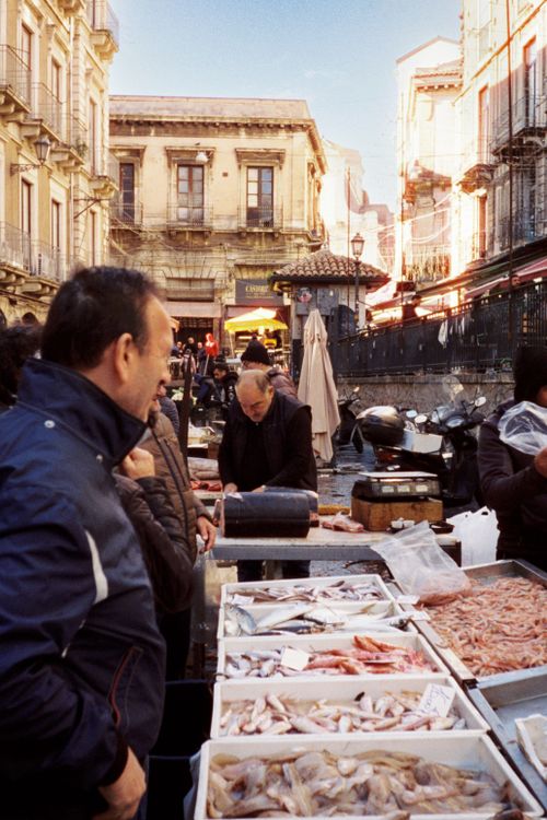 Free Vibrant fish market scene in Catania, Sicily, showcasing fresh seafood and local culture. Stock Photo