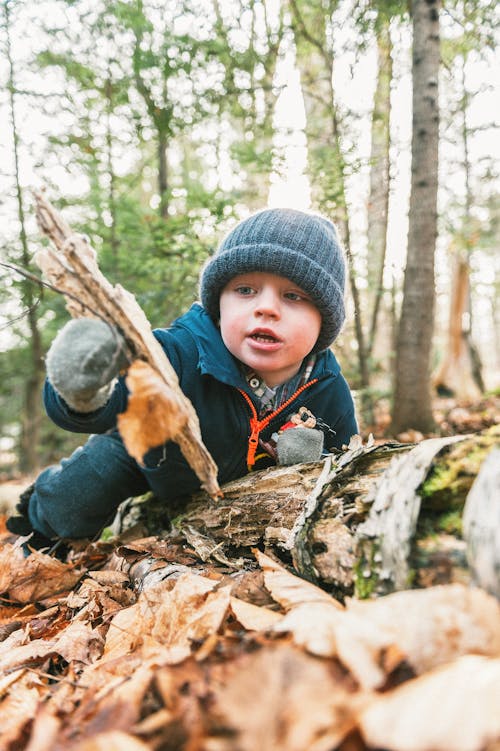Free Photo Of Toddler Playing In The Woods Stock Photo