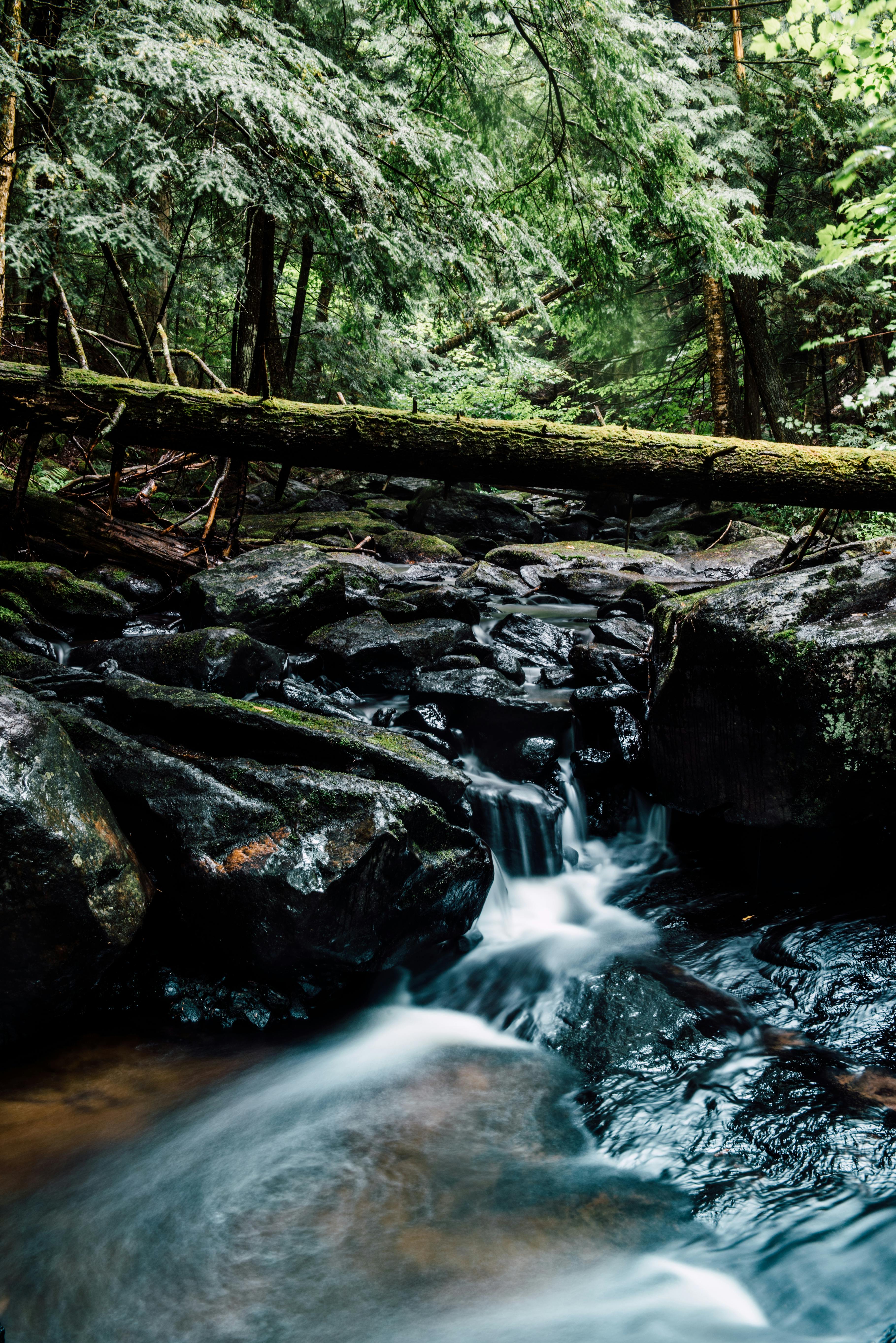 Troubleshooting Common Issues