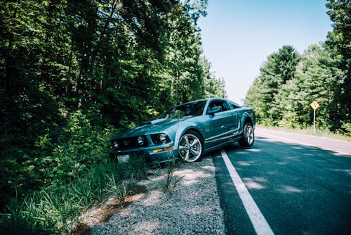 Photo Of Mustang On Side Of The Road