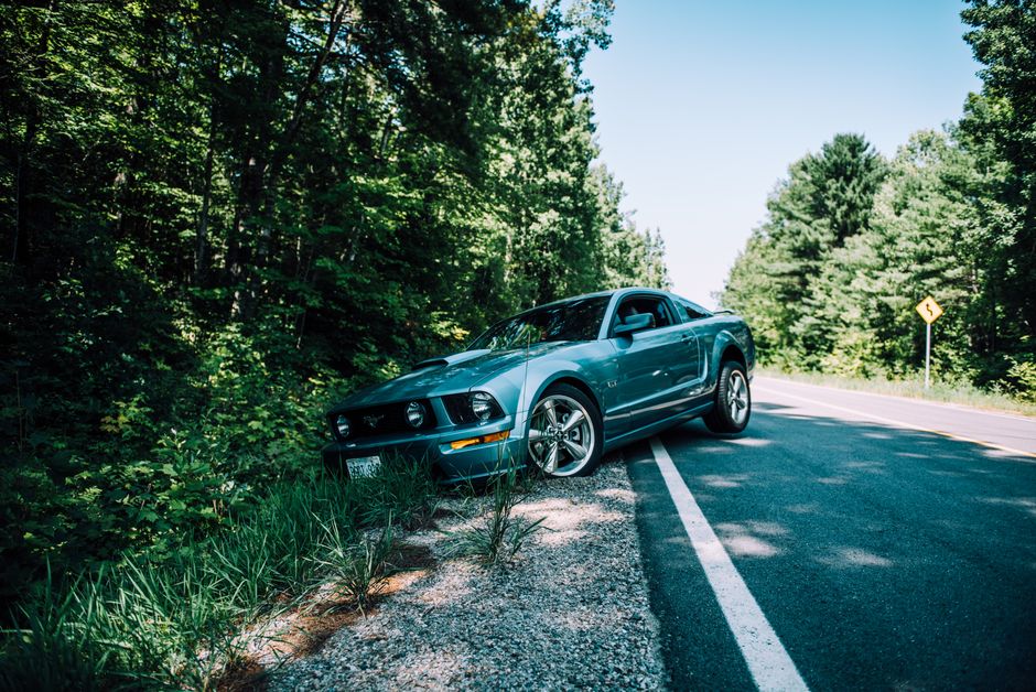 Blue Ford Mustang parked on roadside in a lush forest setting, showcasing automotive beauty and nature.