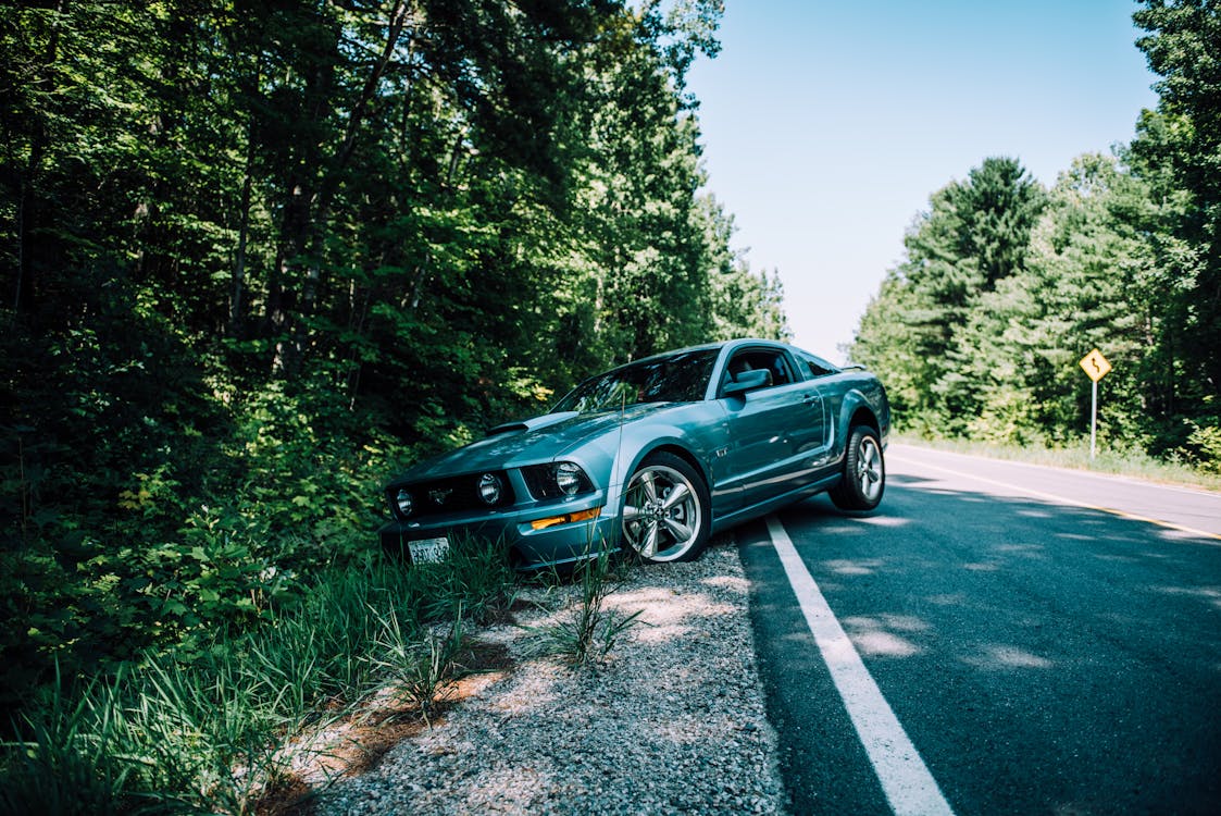 Photo Of Mustang On Side Of The Road