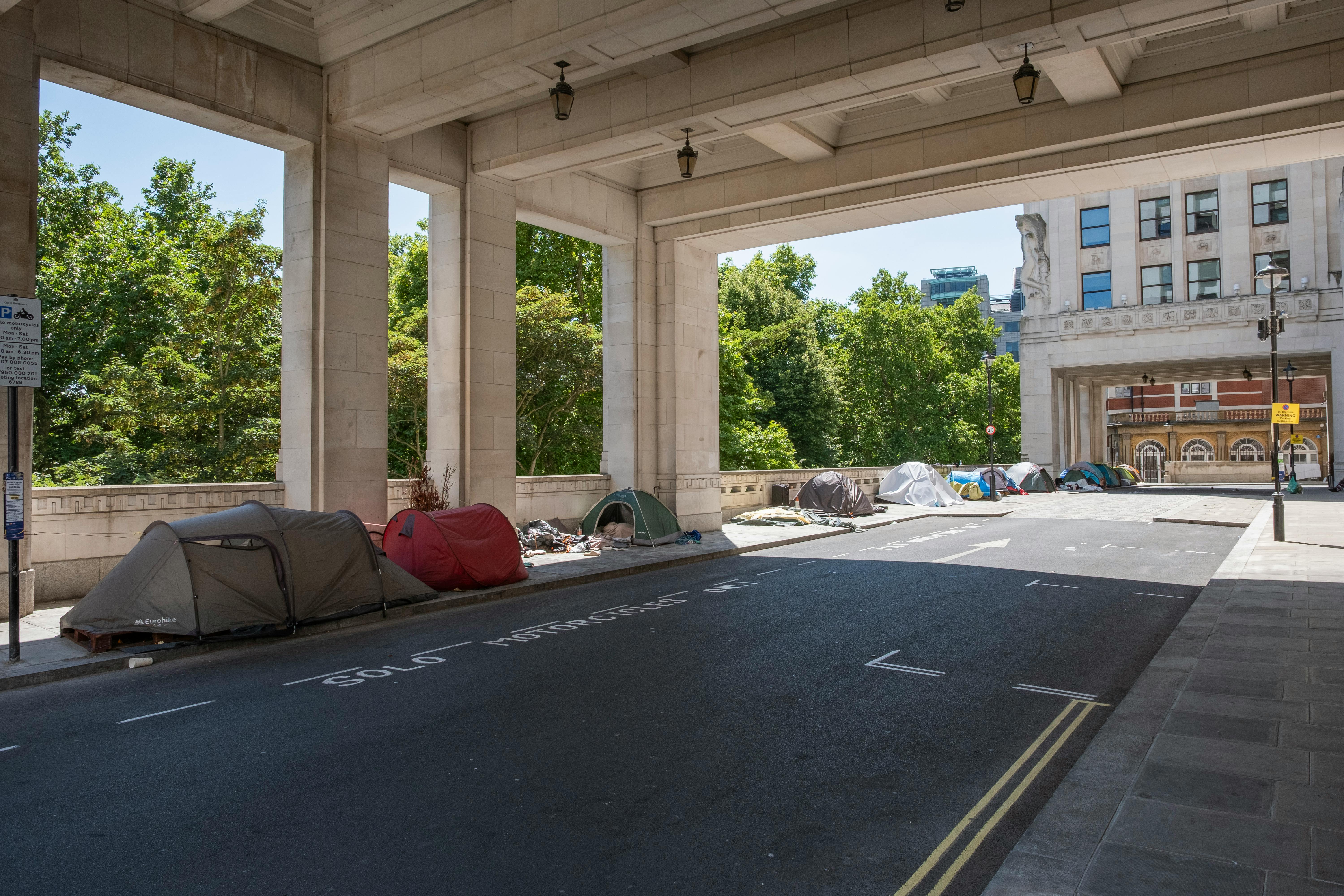 Cutting Edge Vegan Meal Plans Exposed: Innovative Approaches for a Healthier Lifestyle