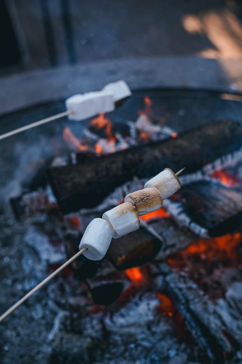 Free Close-up of marshmallows roasting on a campfire in Kyiv, creating a warm and cozy outdoor atmosphere. Stock Photo