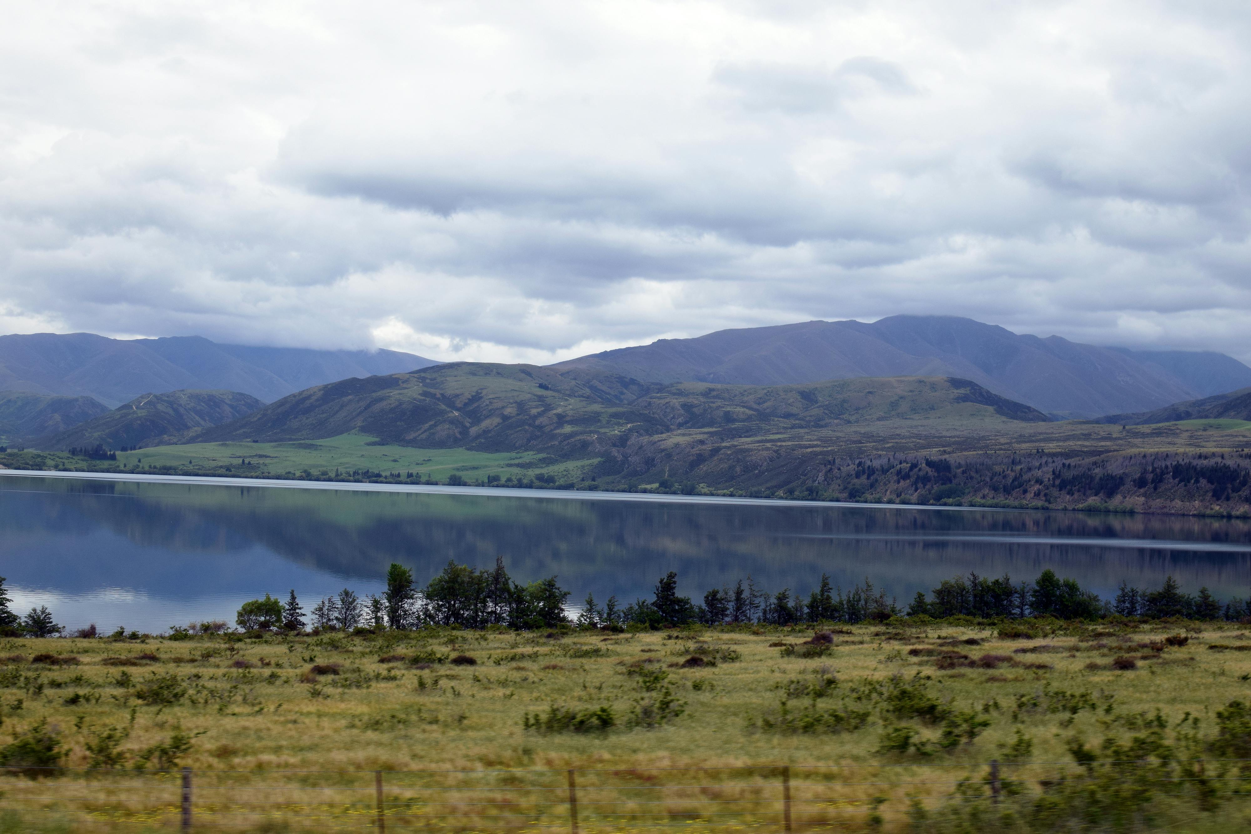 general travel new zealand — Photo by Chris Brown on Pexels