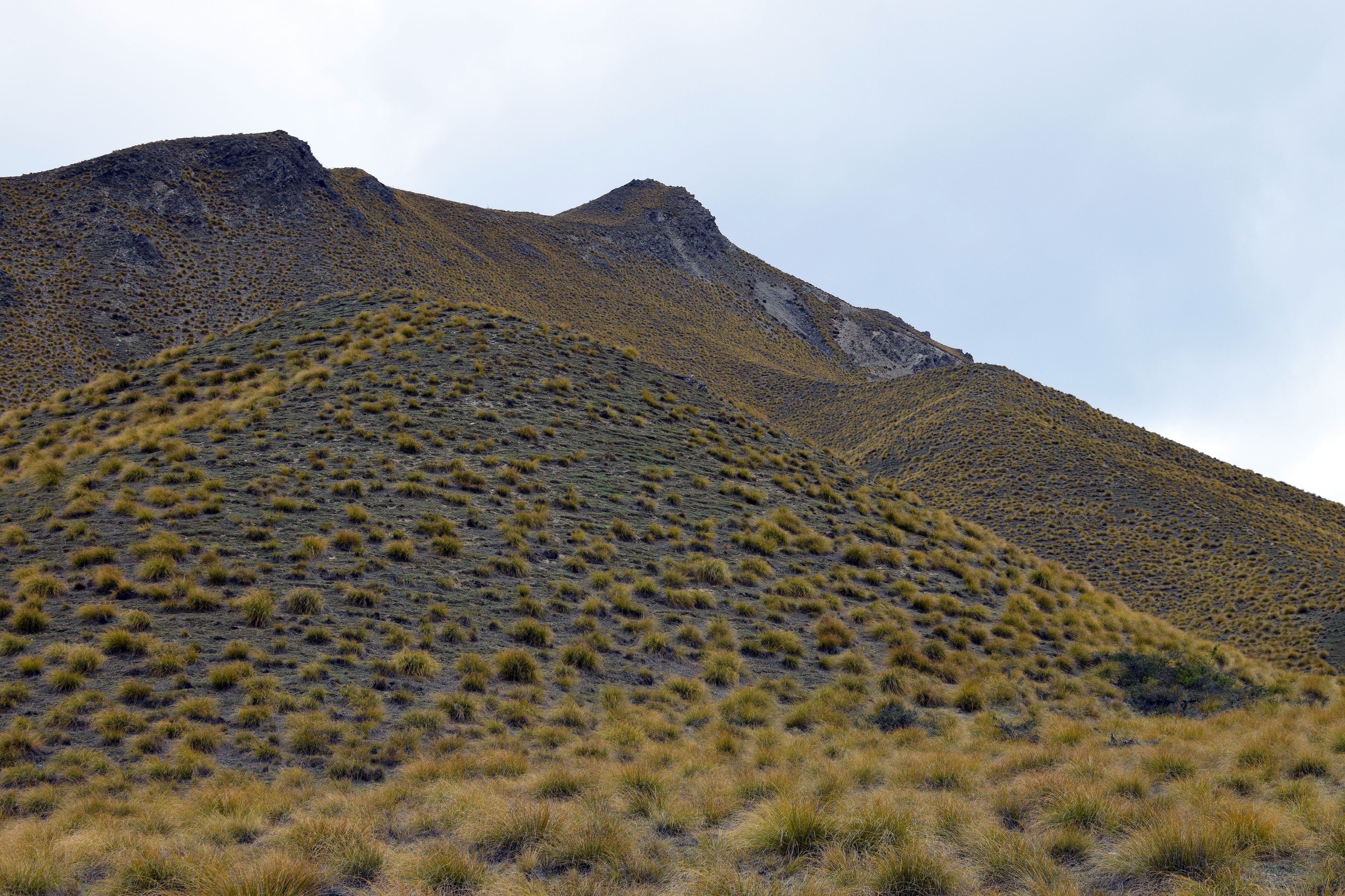 Wedderburn, Otago